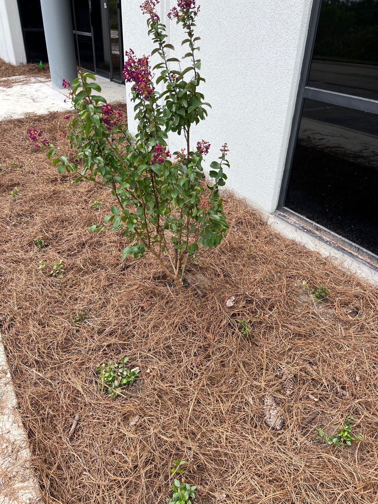 Large Landscape Project | Center Point by ProGreen Services