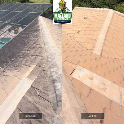 Tile Roof Cleaning in Windermere, Florida