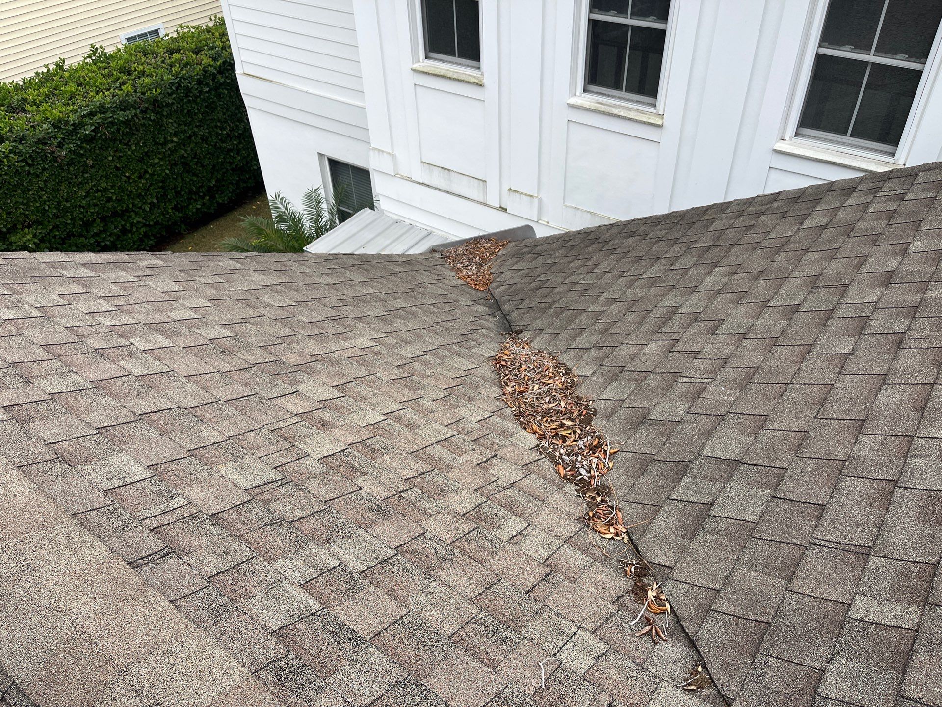 Shingle -> Shingle by Prime Roofing