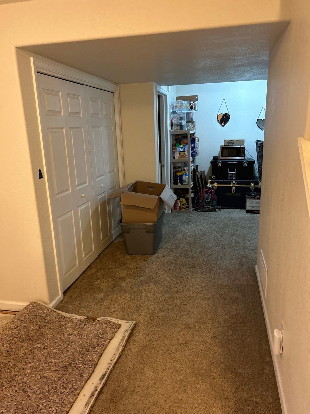 Mold Damage Project in Thornton by Accountable Home Services