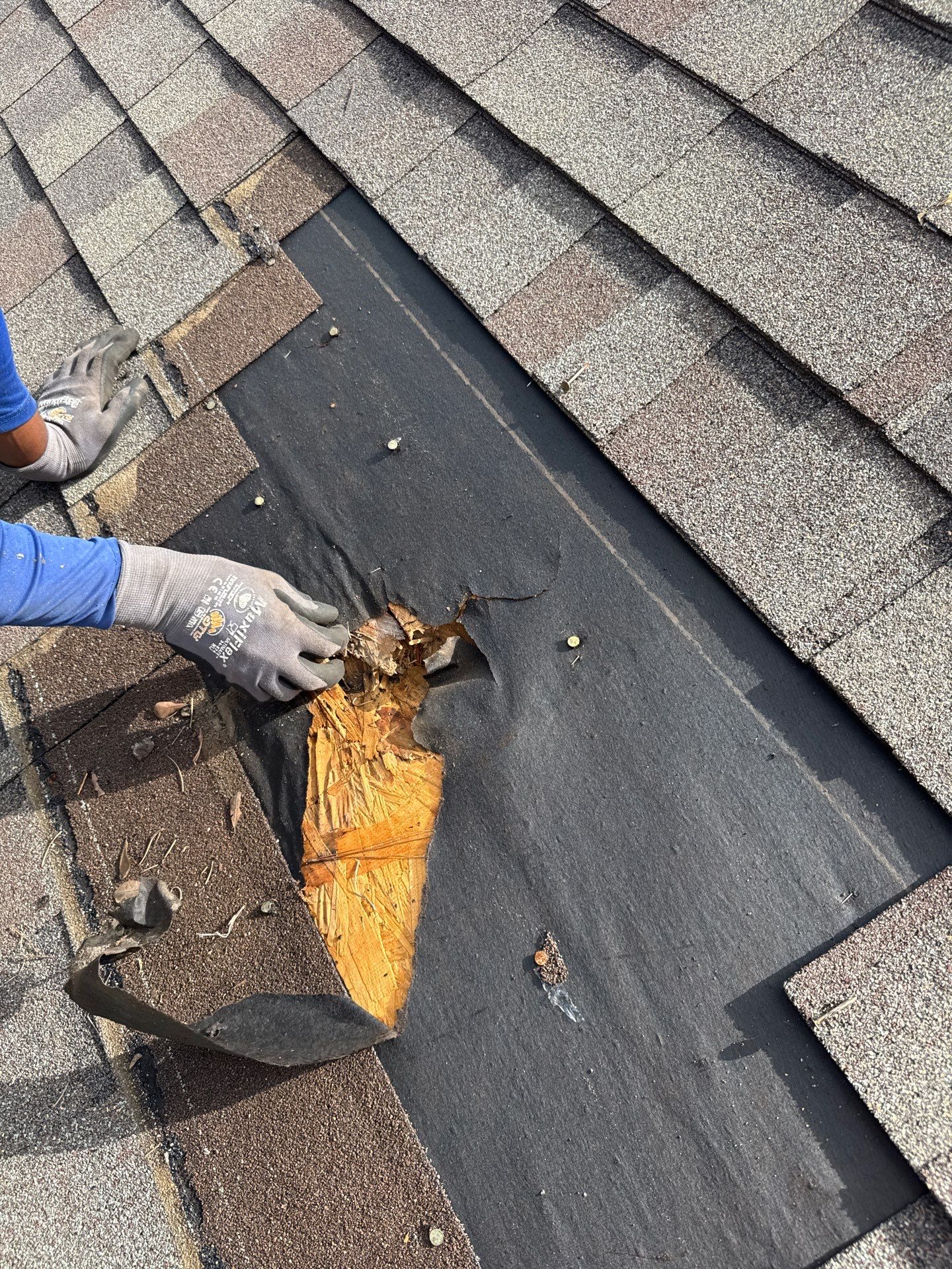 Roof Repair Grangerland by Roof Repair Services LLC
