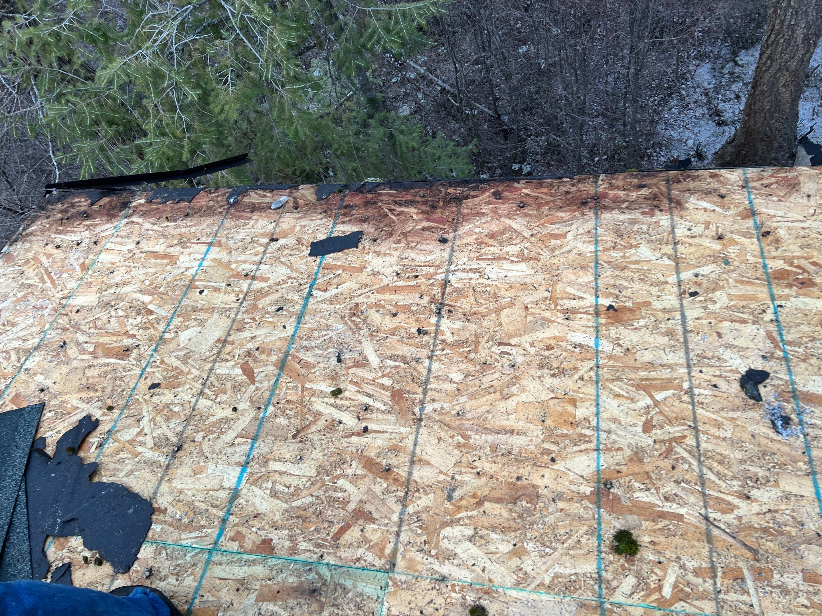 GAF Timberline HDZ - Hunter Green by Montana Roofing Solutions