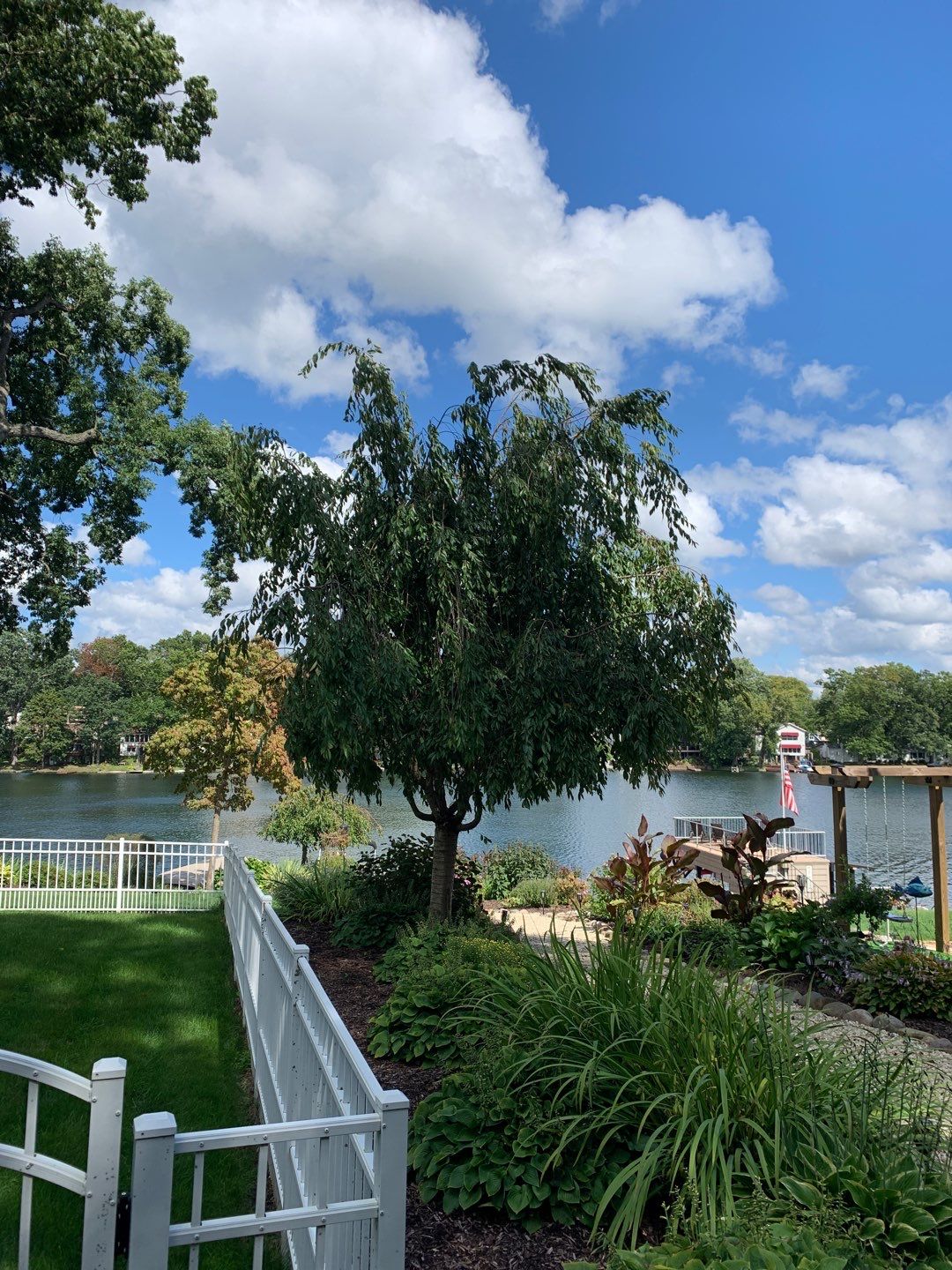 Tree Trimming using Tree Pruing by Mike Jones & Sons Tree Service LLC 