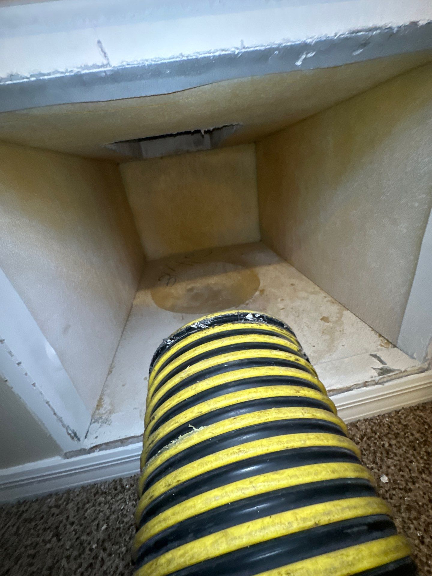 Air Duct Cleaning in Clermont by Hygienic Air, Inc