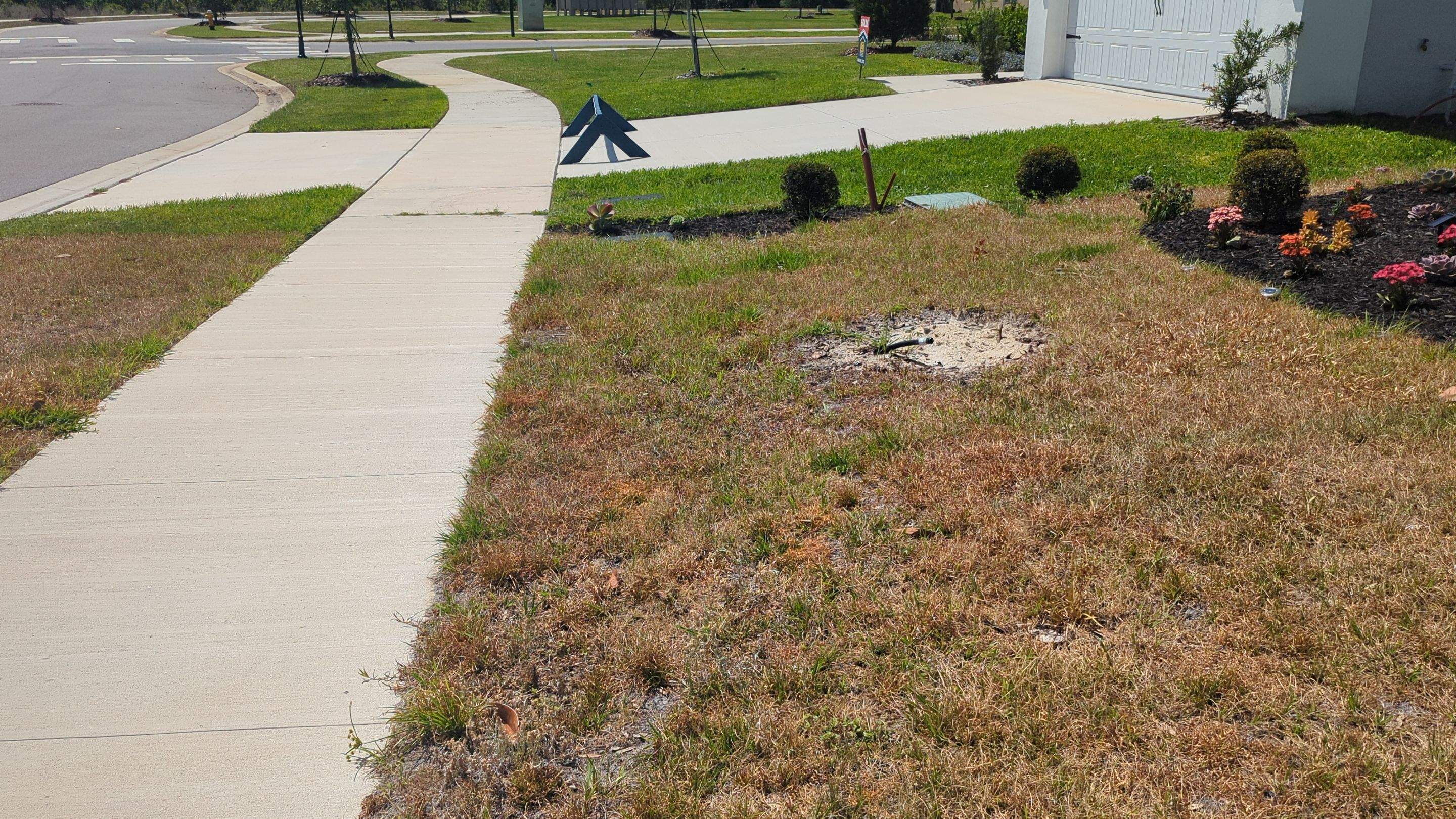 Complete Lawn Restoration with St. Augustine Sod by 
M.A.B. Landscaping & Property Maintenance