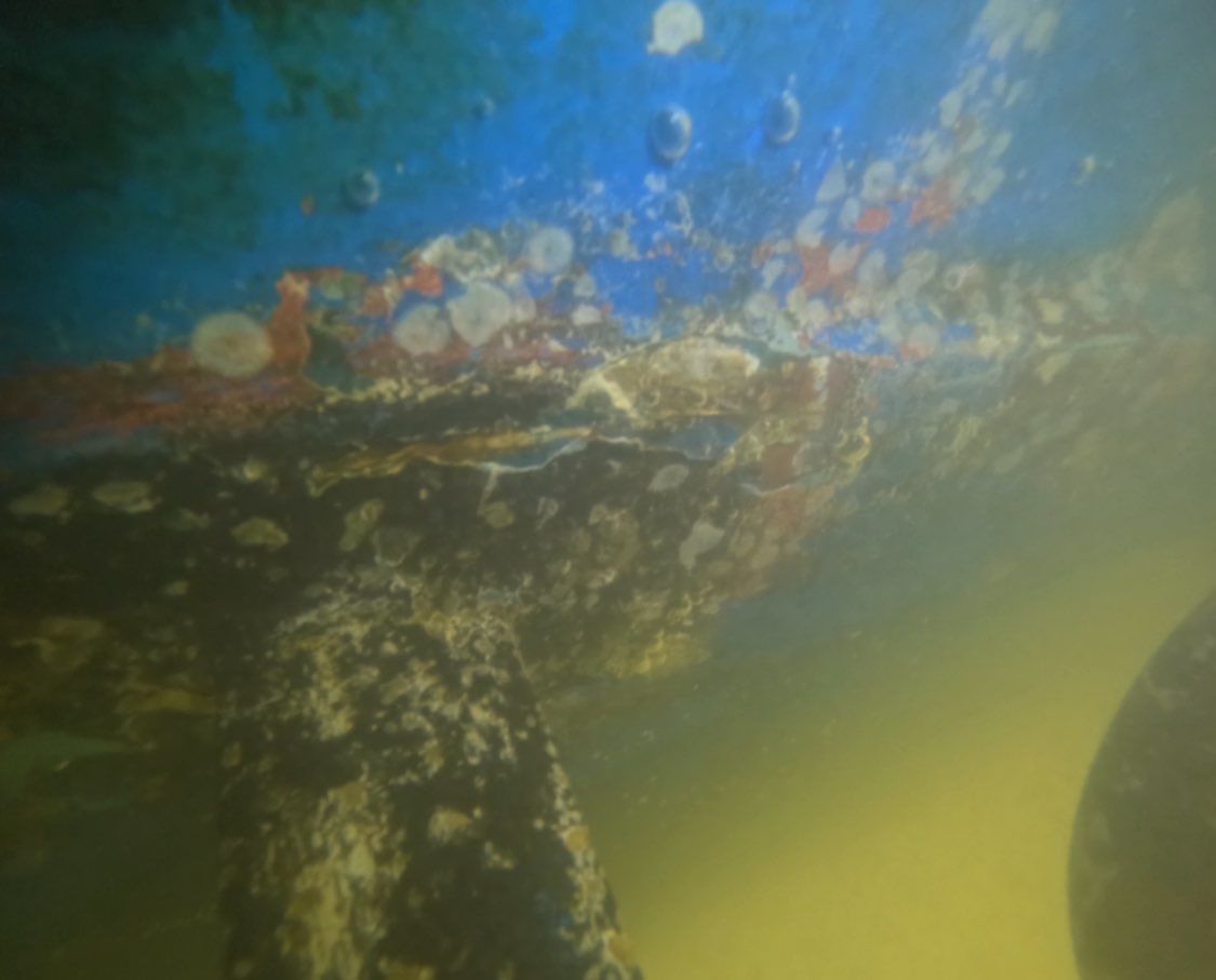 Florida Hull Cleaning - Divers | Fort Myers, Cape Coral, Naples, Venice featured photo.