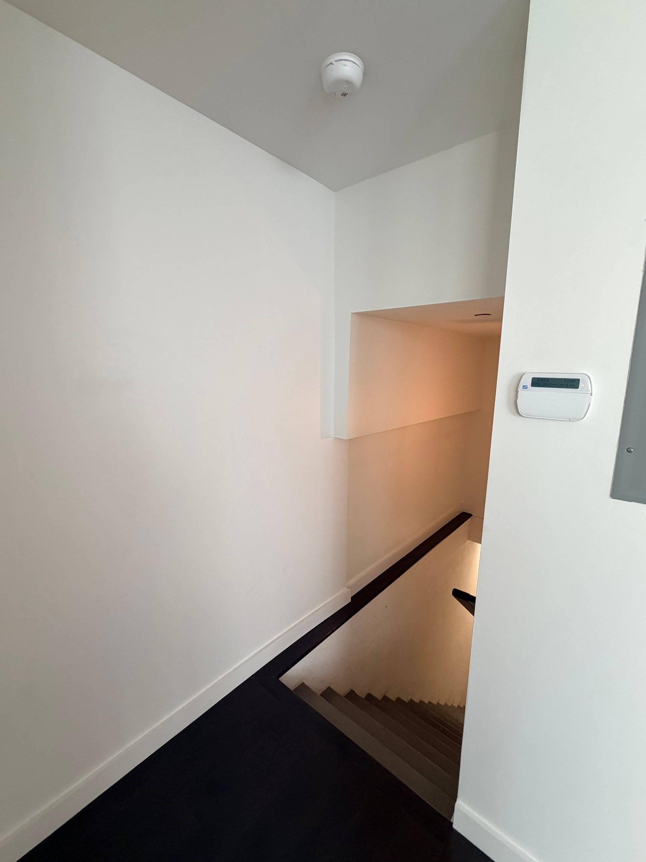 Wallpaper and Paint for Jess by Asis Painting Inc 
