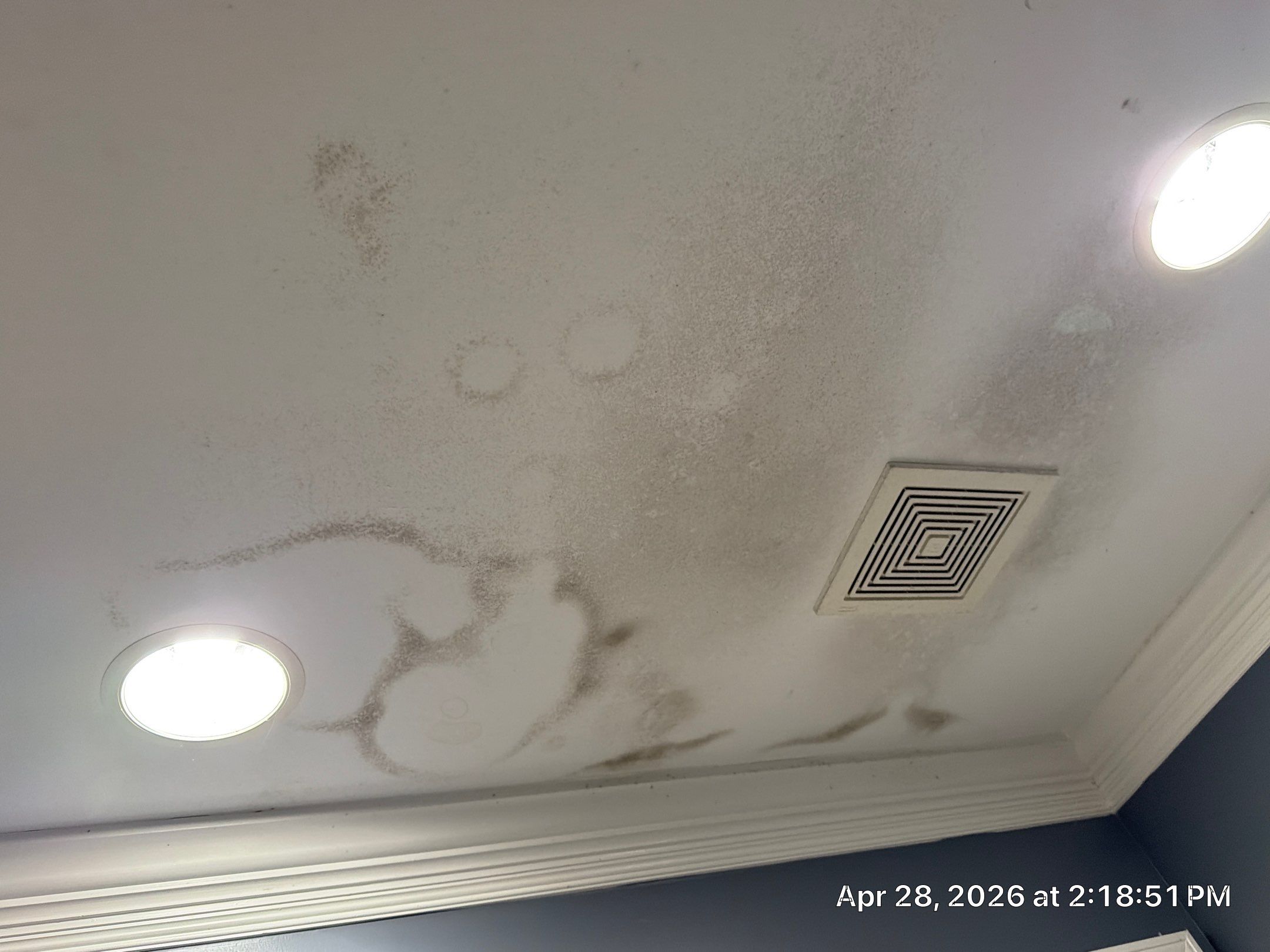 Drywall Repair and Interior Painting for Water Damaged Ceilings in Decatur by PGP Surface Solutions, LLC