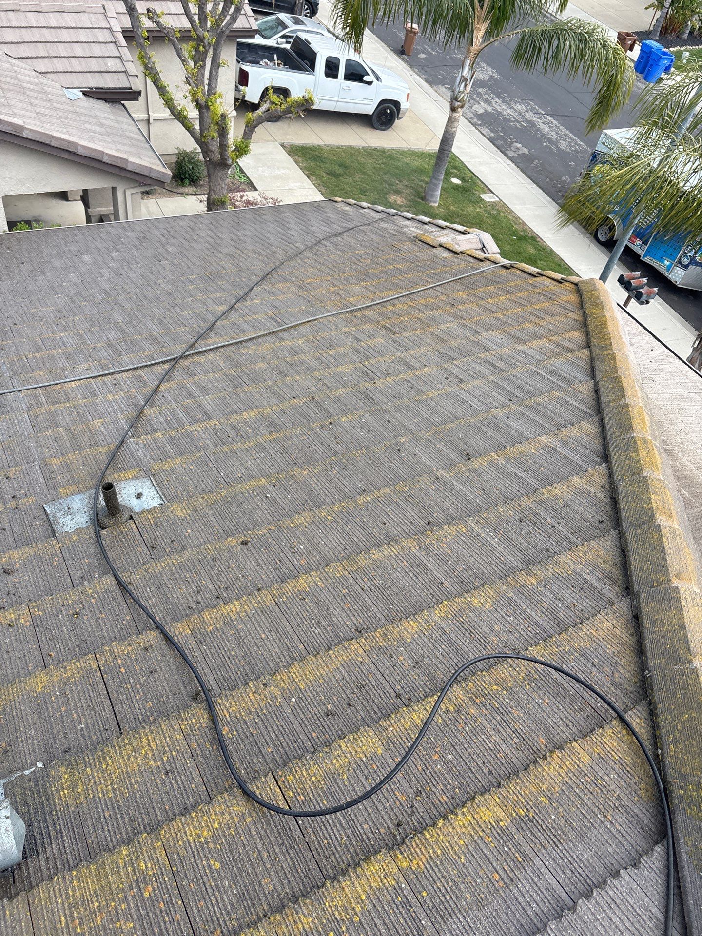 Moss Removal by Top Elevation