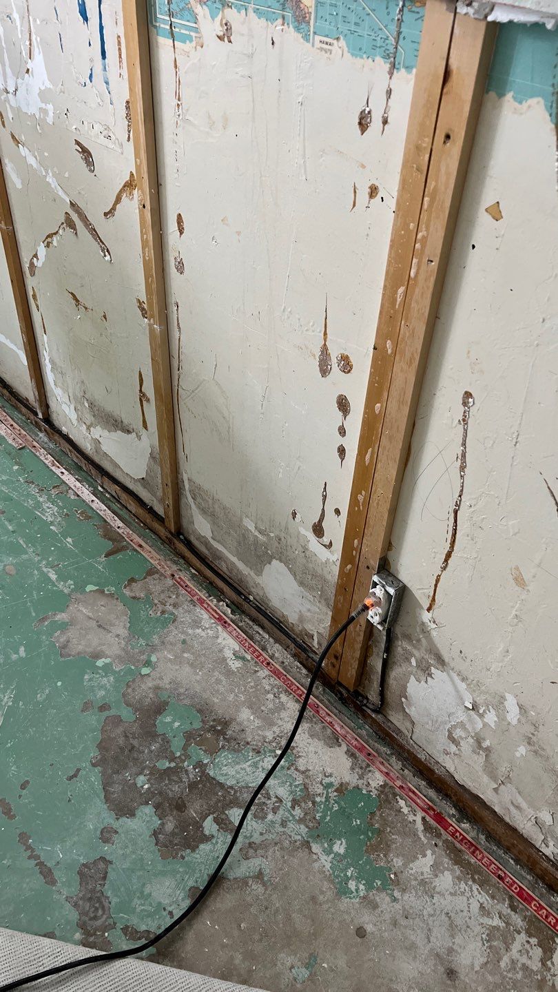 Mold Remediation by Accountable Home Services