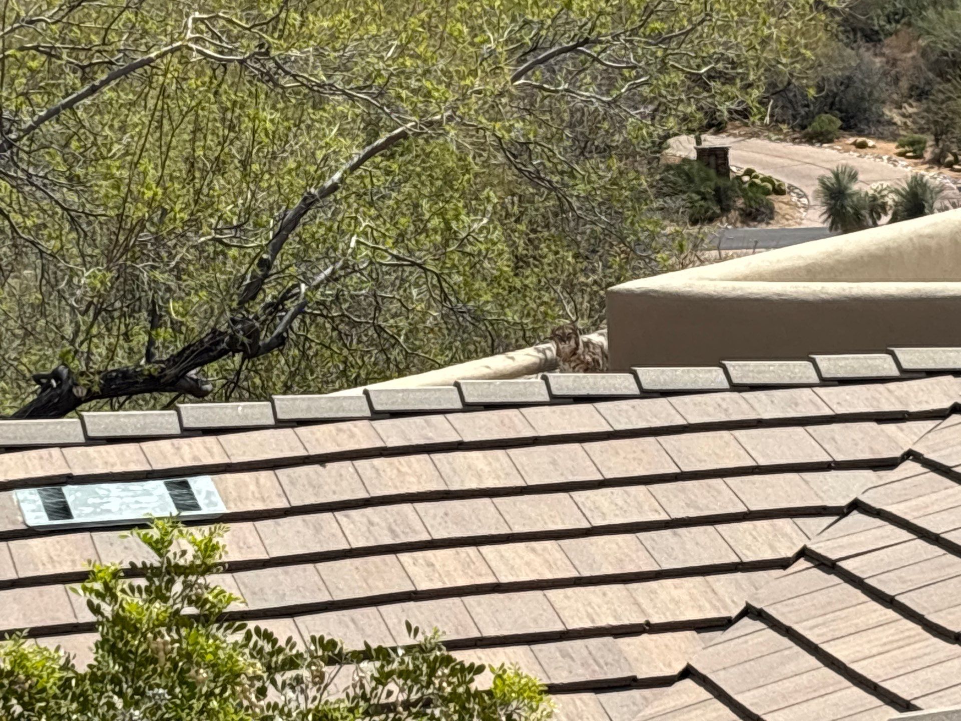 Residential Roofing Repair using Coating/Tile Roof underlayment by C&N Roofing INC