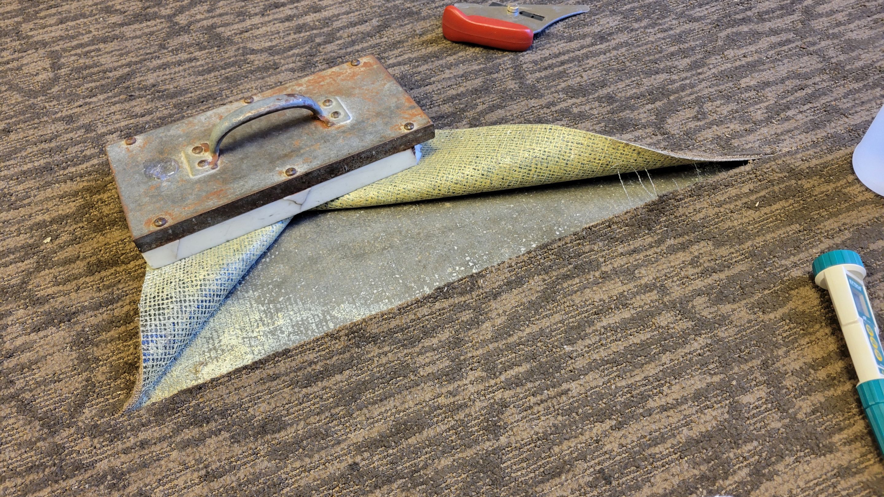 Buckled Commercial Glue Down Carpet by Ardent Carpet Restore LLC