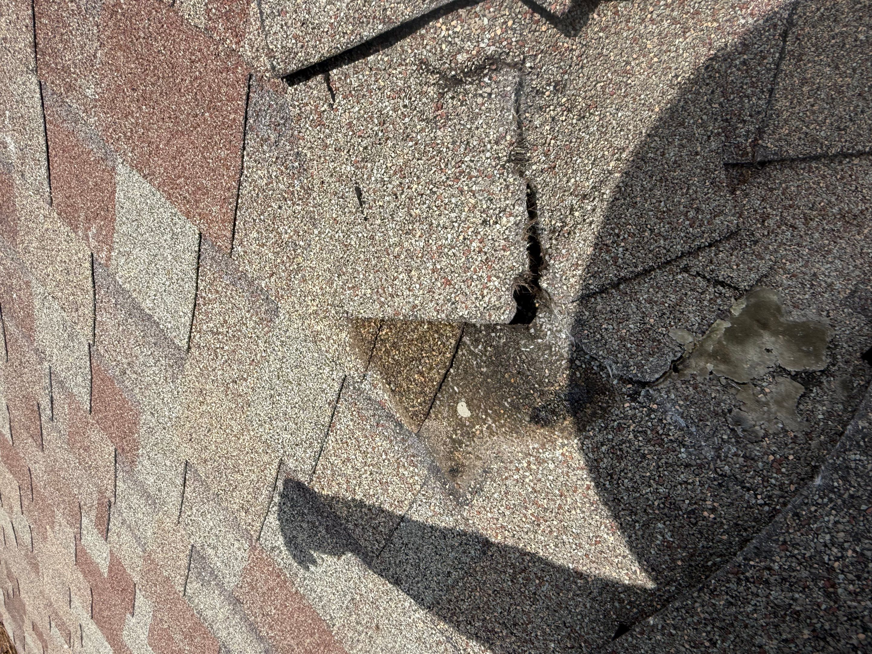 Roof Repair Spring by Roof Repair Company