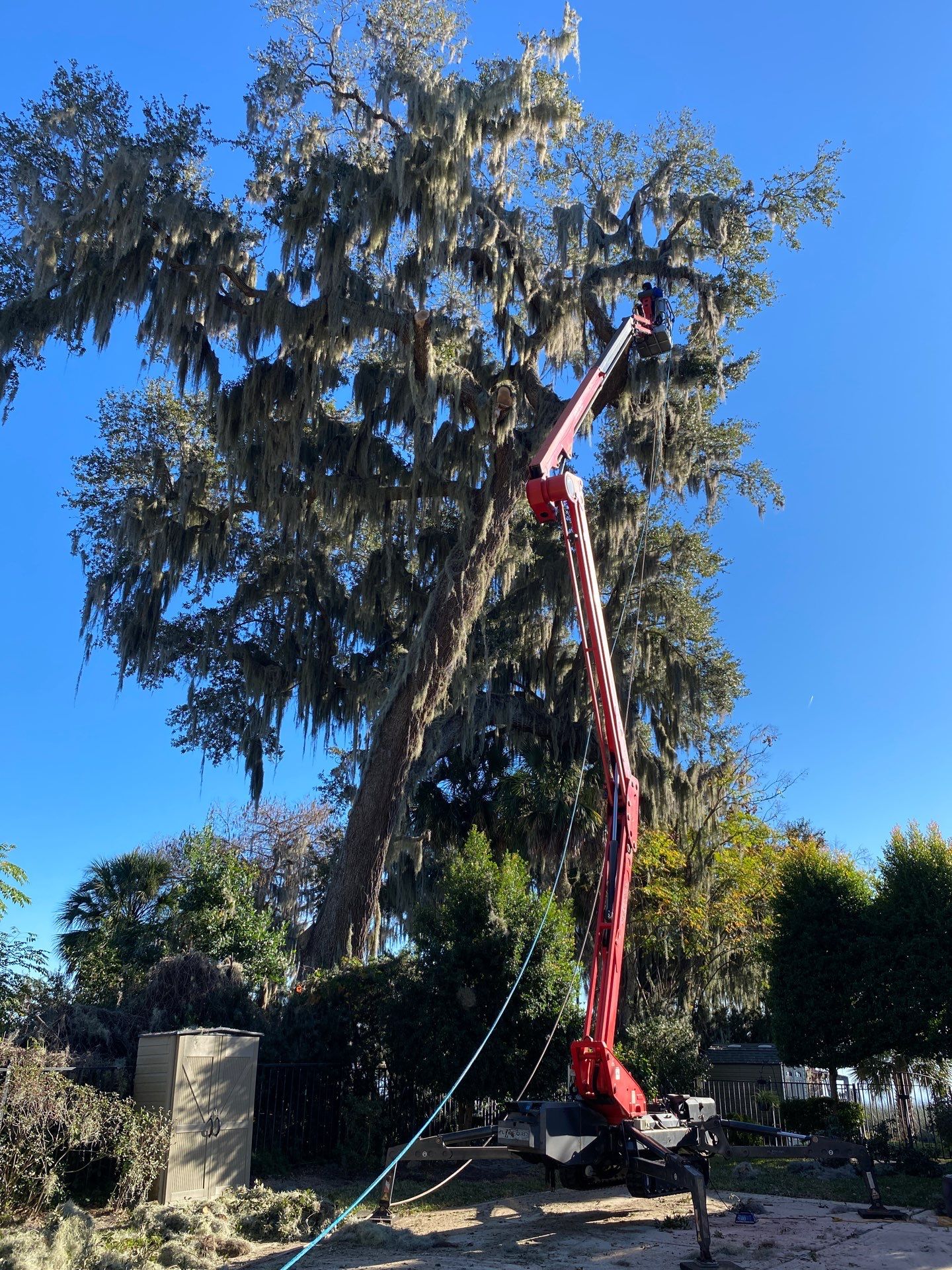 Residential | Tree Service by ProGreen Services