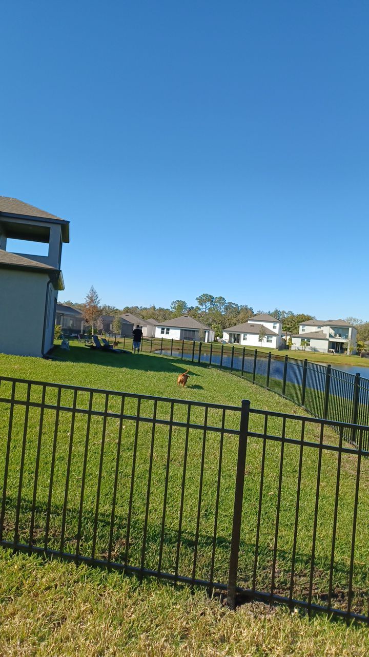 Parrish, FL 4 ft. Tall 3-Rail Black Aluminum  by Asap fence and gates, LLC