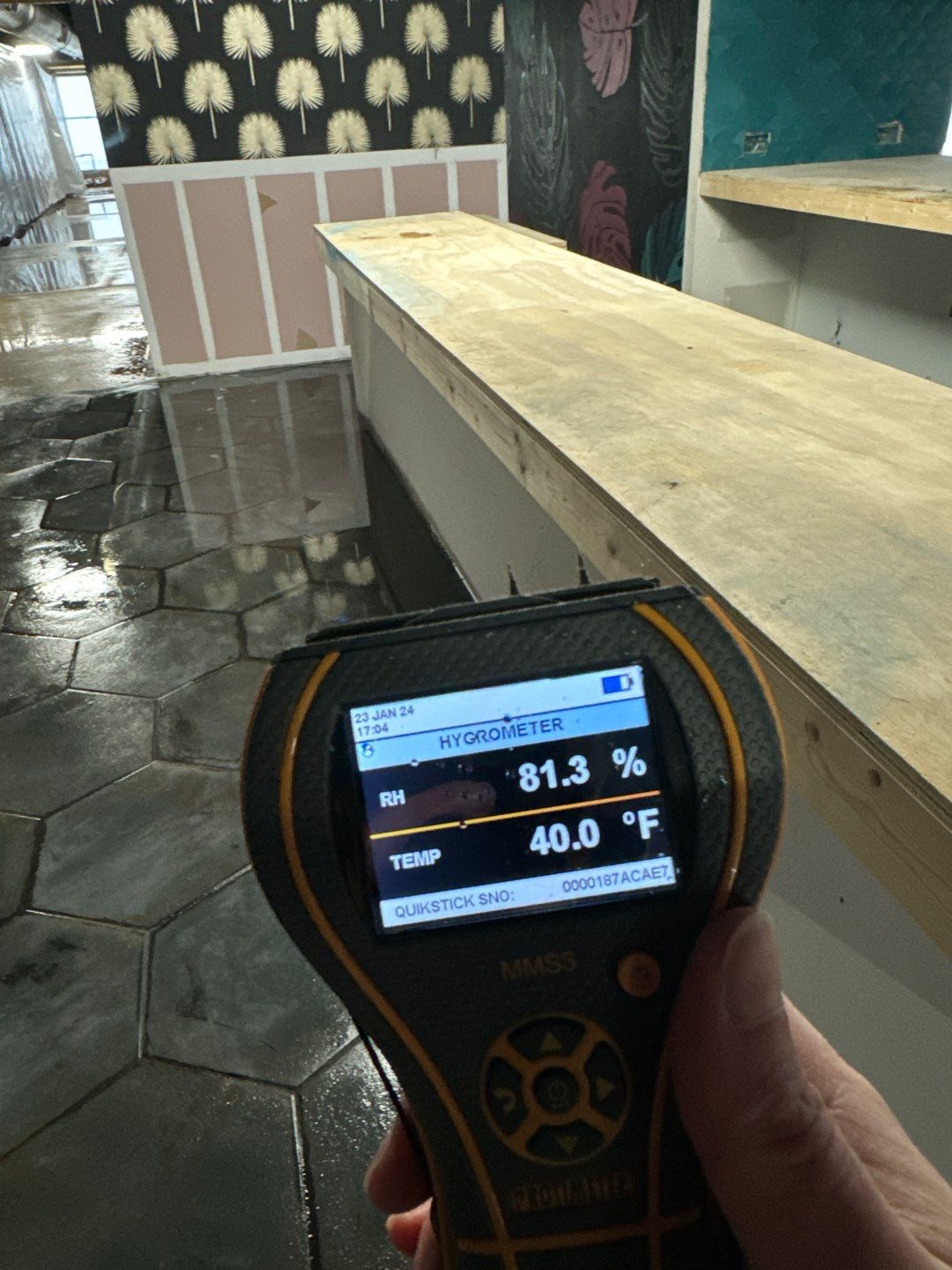 Project in Royal Oak by EzDry Water Mitigation & Property Restoration