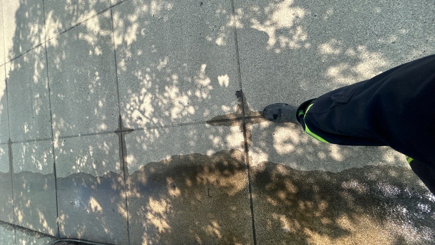 concrete using Algaecide, soft wash soap by Northern Power Washing LLC.