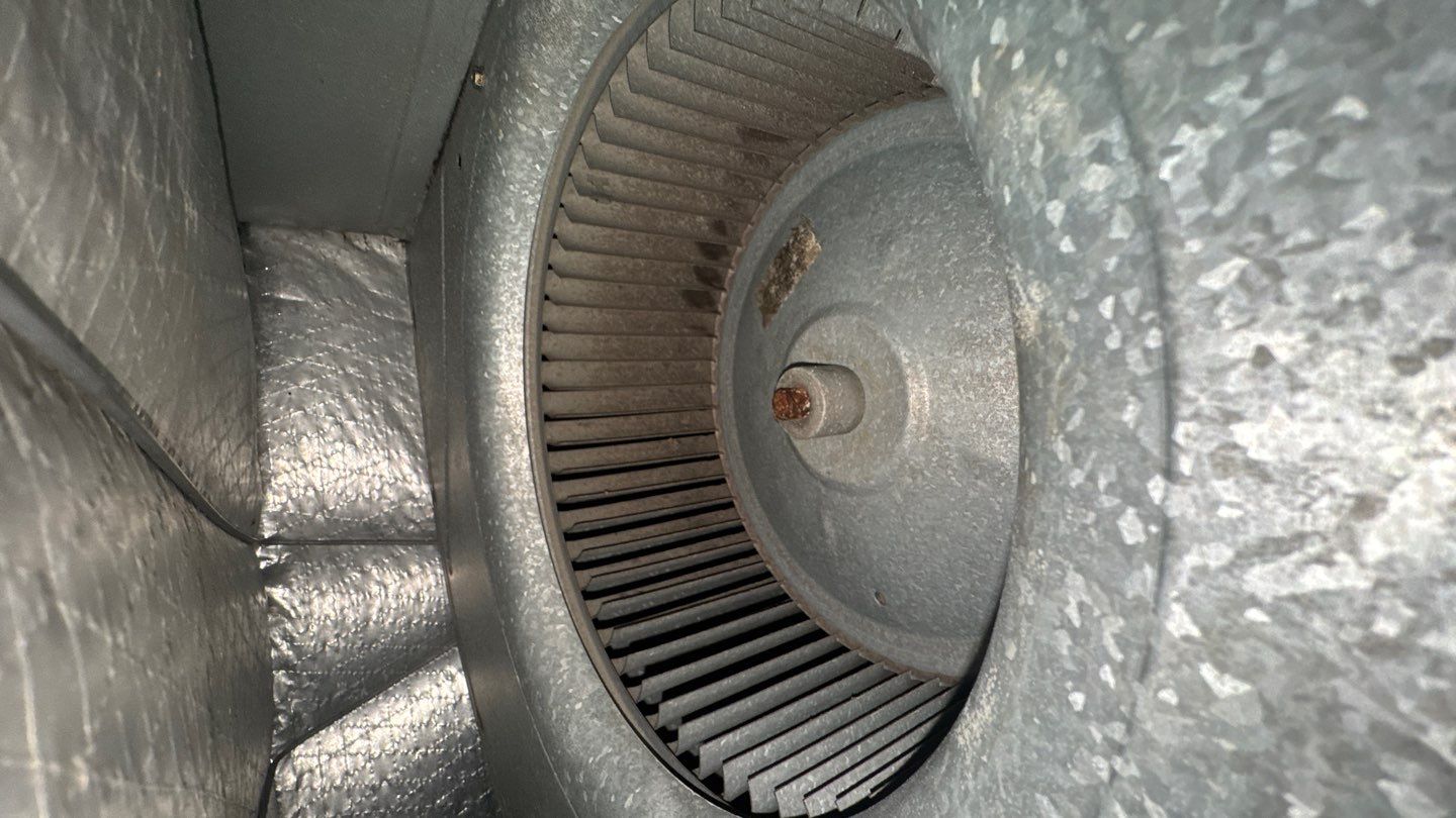 Air Duct and Dryer Vent Cleaning in Clermont by Hygienic Air, Inc