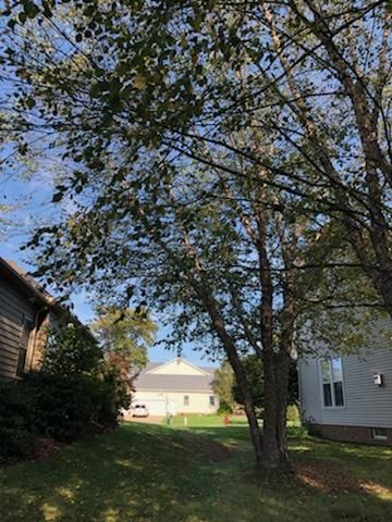 Tree Removal using Tree Removal by Mike Jones & Sons Tree Service LLC 