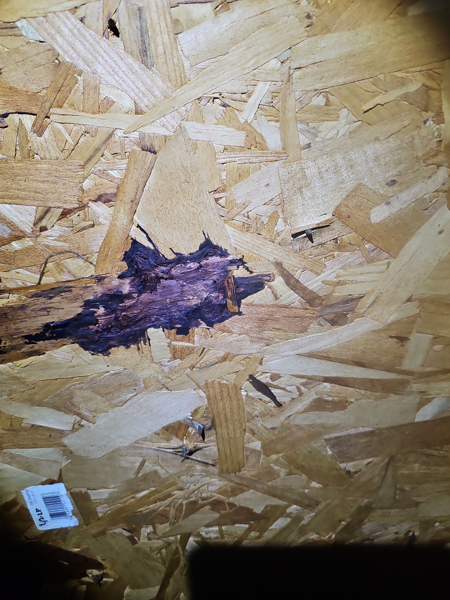 Roof Replacement - Espresso by Winchester Roofing