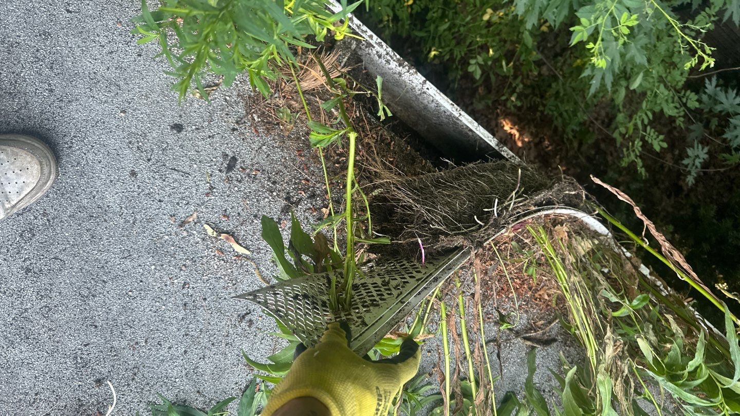 Very overdue gutter cleaning and screening by Above All Gutters 