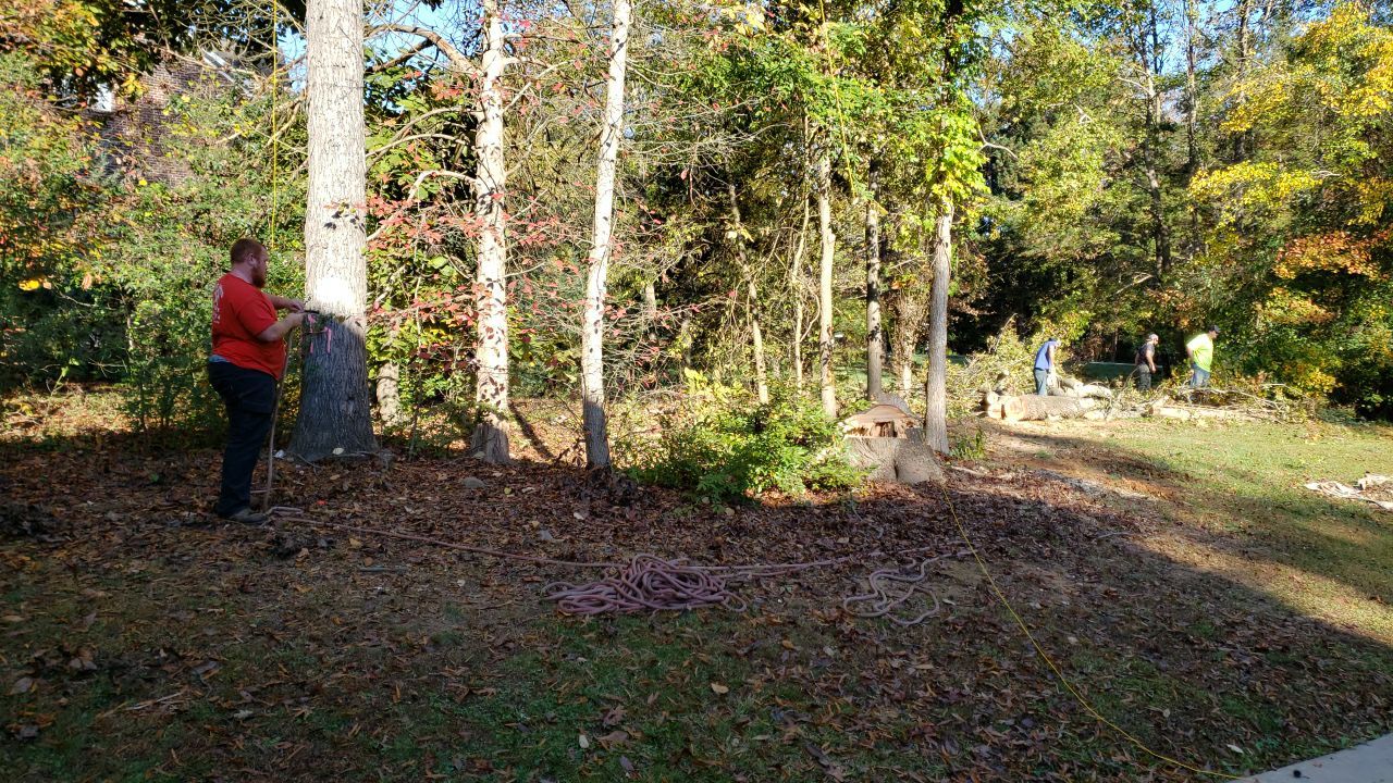land clearing using machinery by G&H Home Tech Pros LLC