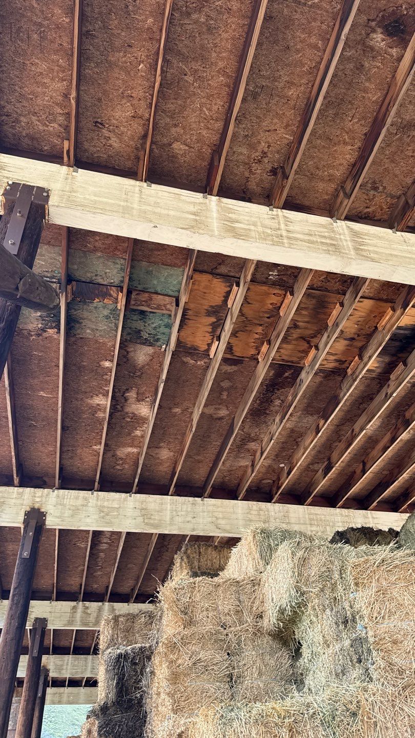 Metal Roof Silicone Coating and Structural Repair in San Ysabel by Reliable Roofing San Diego Inc.