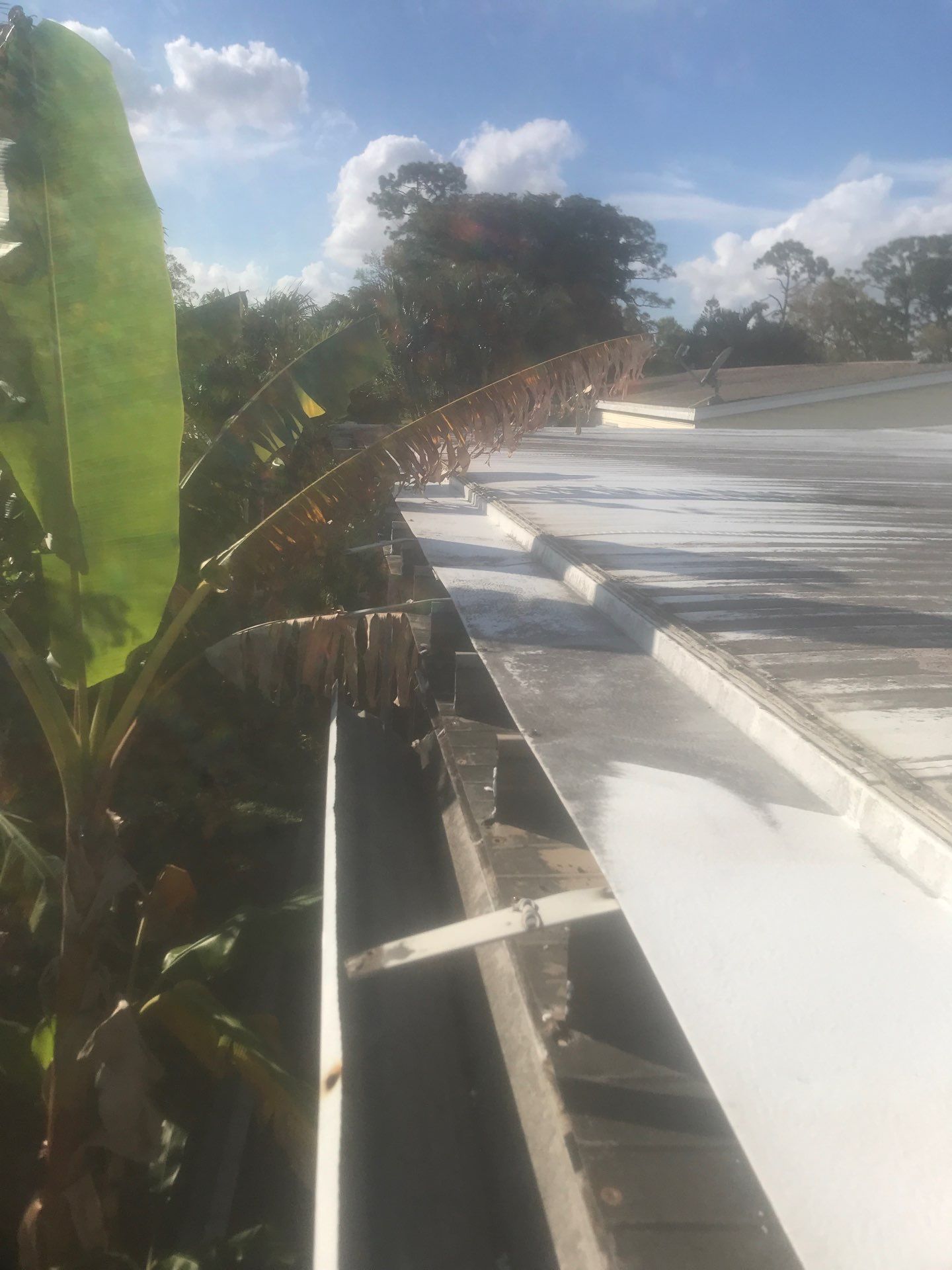 Cleaning Gutters in Fort Myers FL by Gutter Professors