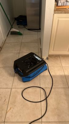 Mold Remediation — Marco Island, FL