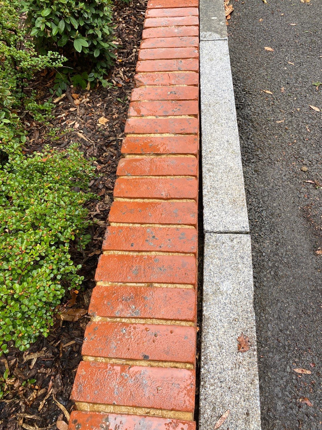Exterior Cleaning using Honda 15lpm Low Pressure Washing Machine by Ges Exterior Cleaning ltd