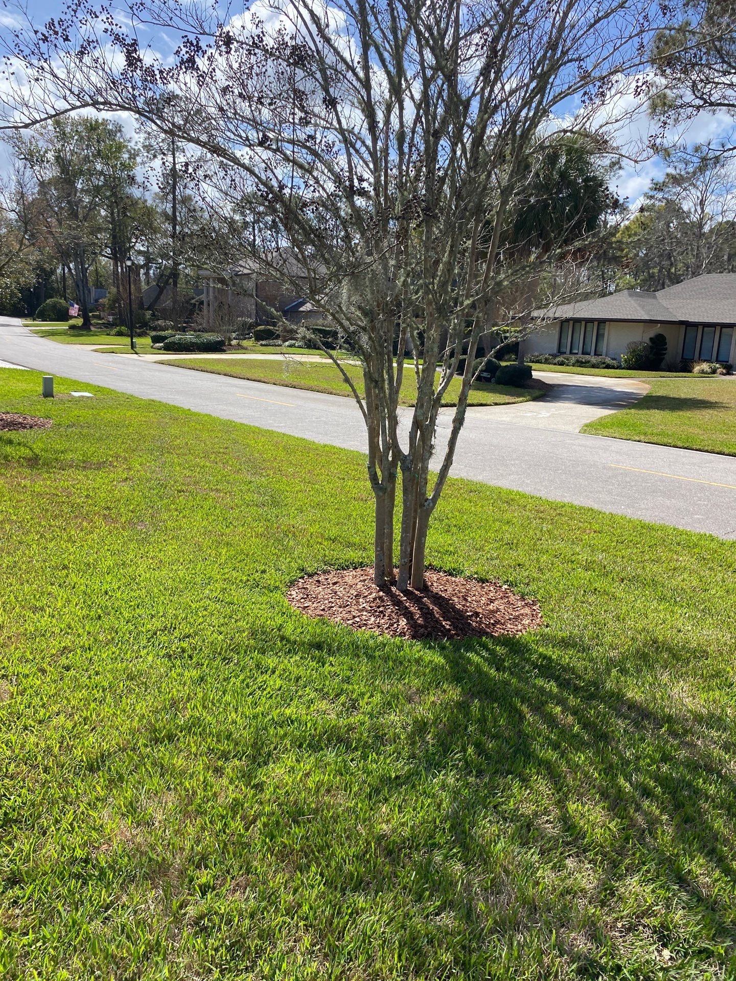 Deerwood Resident | Landscaping by ProGreen Services