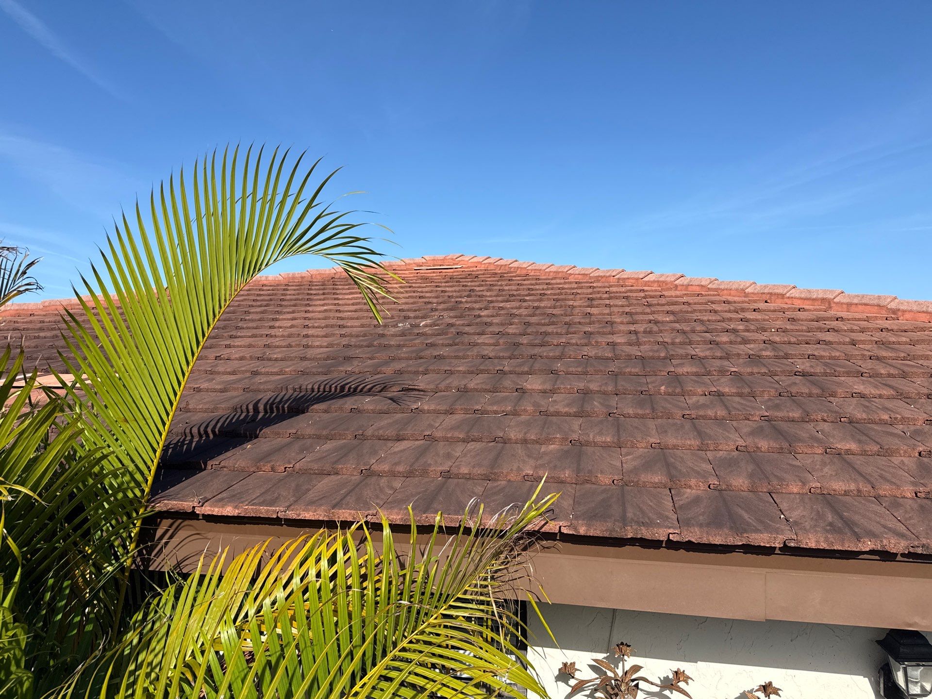 Tile Roof Cleaning in Vivienda at Bradenton, FL | No Roof Walking Method by Sunshine AquaWash