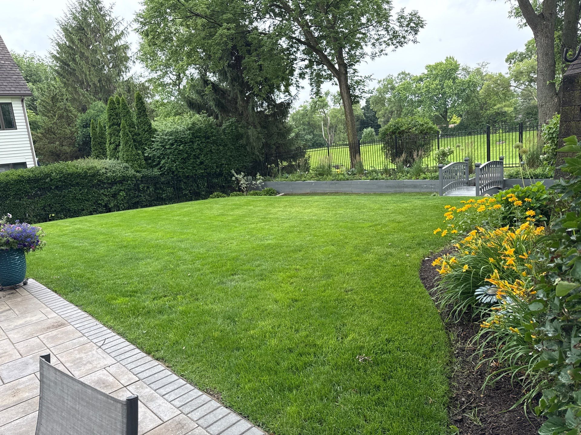 Laura C. - Mount Prospect, IL by A&N 