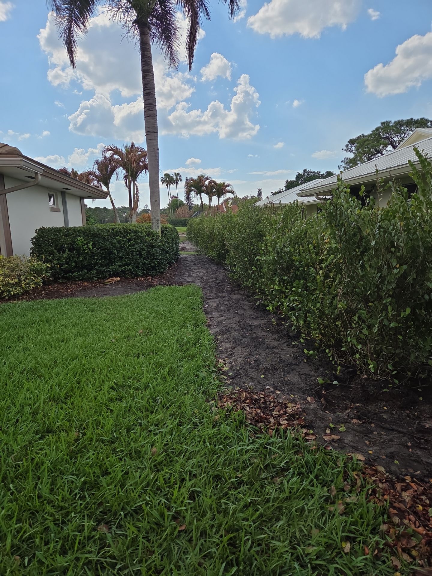 Pipers Landing Hedge Revival by Alpha Zeta Enterprises Inc