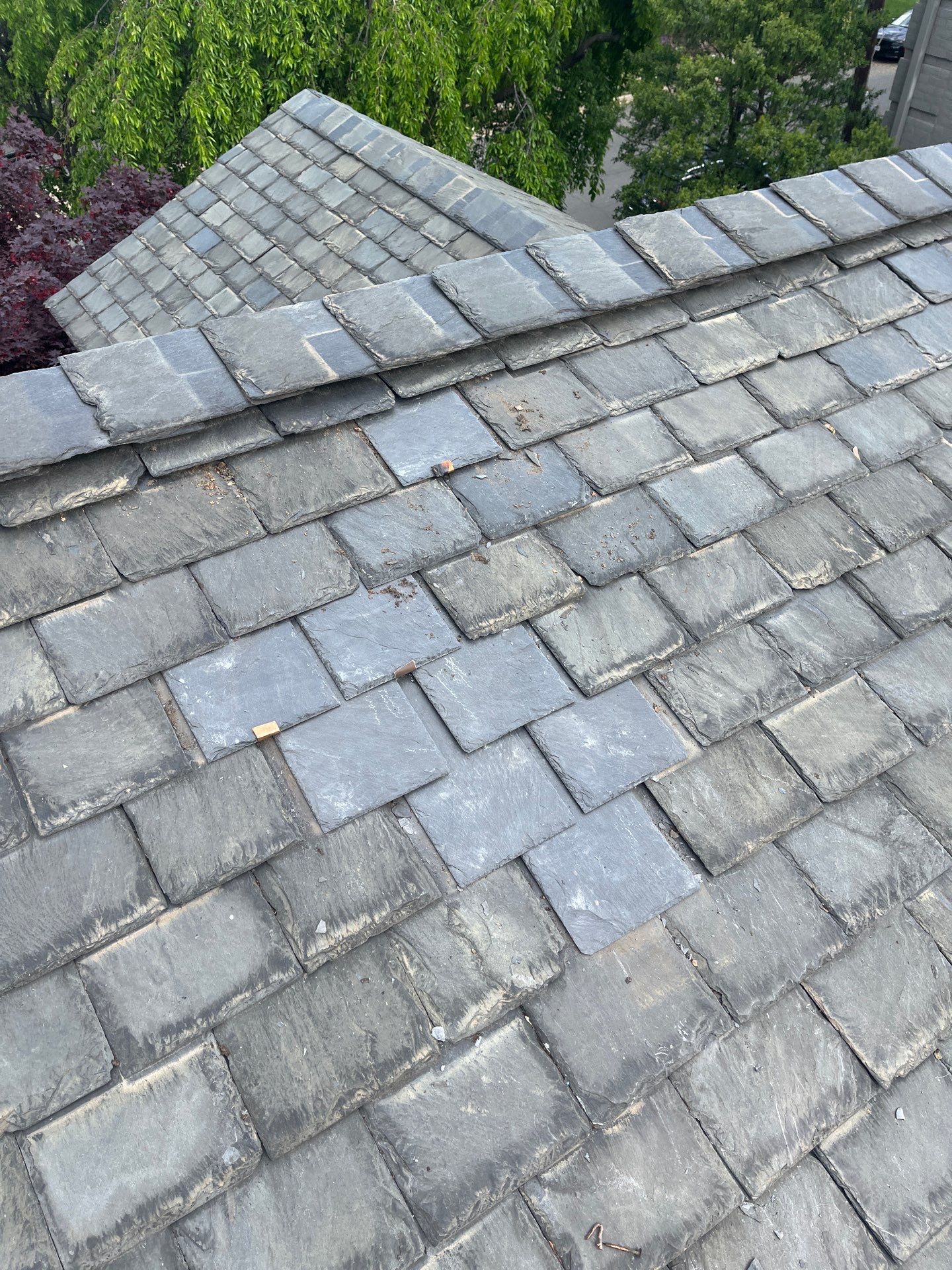 Arlington: Buckingham Slate and Carlisle Syntec TPO Roof by RM Banning, Inc.