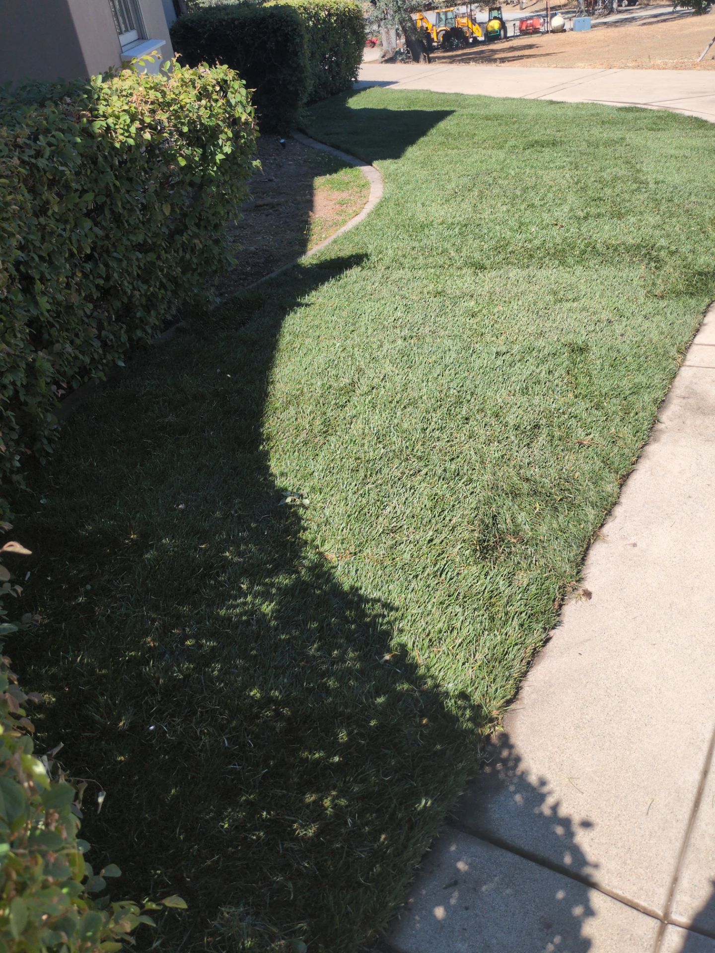 Project in Placerville by A - G Sod Farms