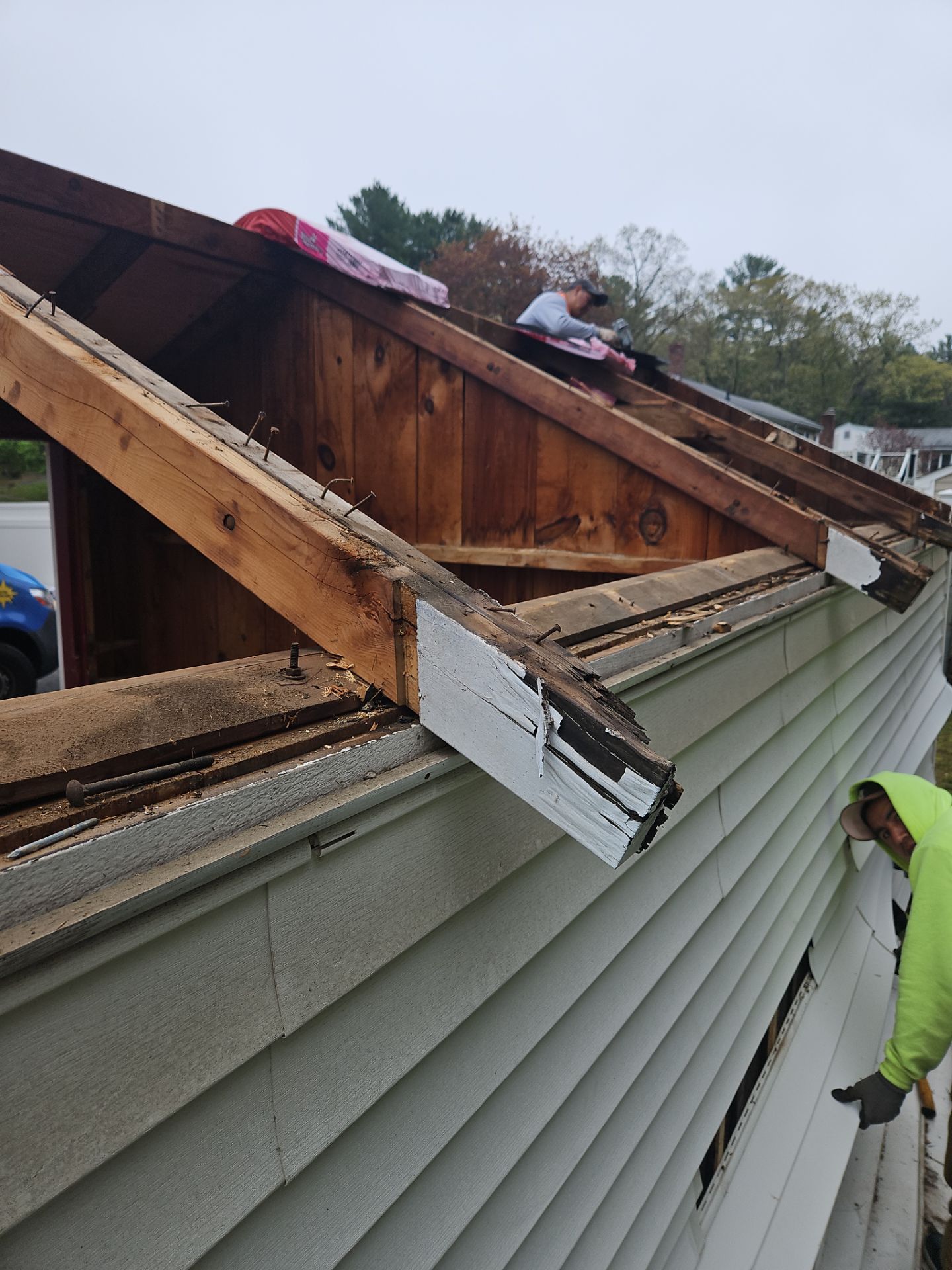 Siding, Roofing & Windows | Wilmington by Mighty Dog Roofing of Greater Middlesex County