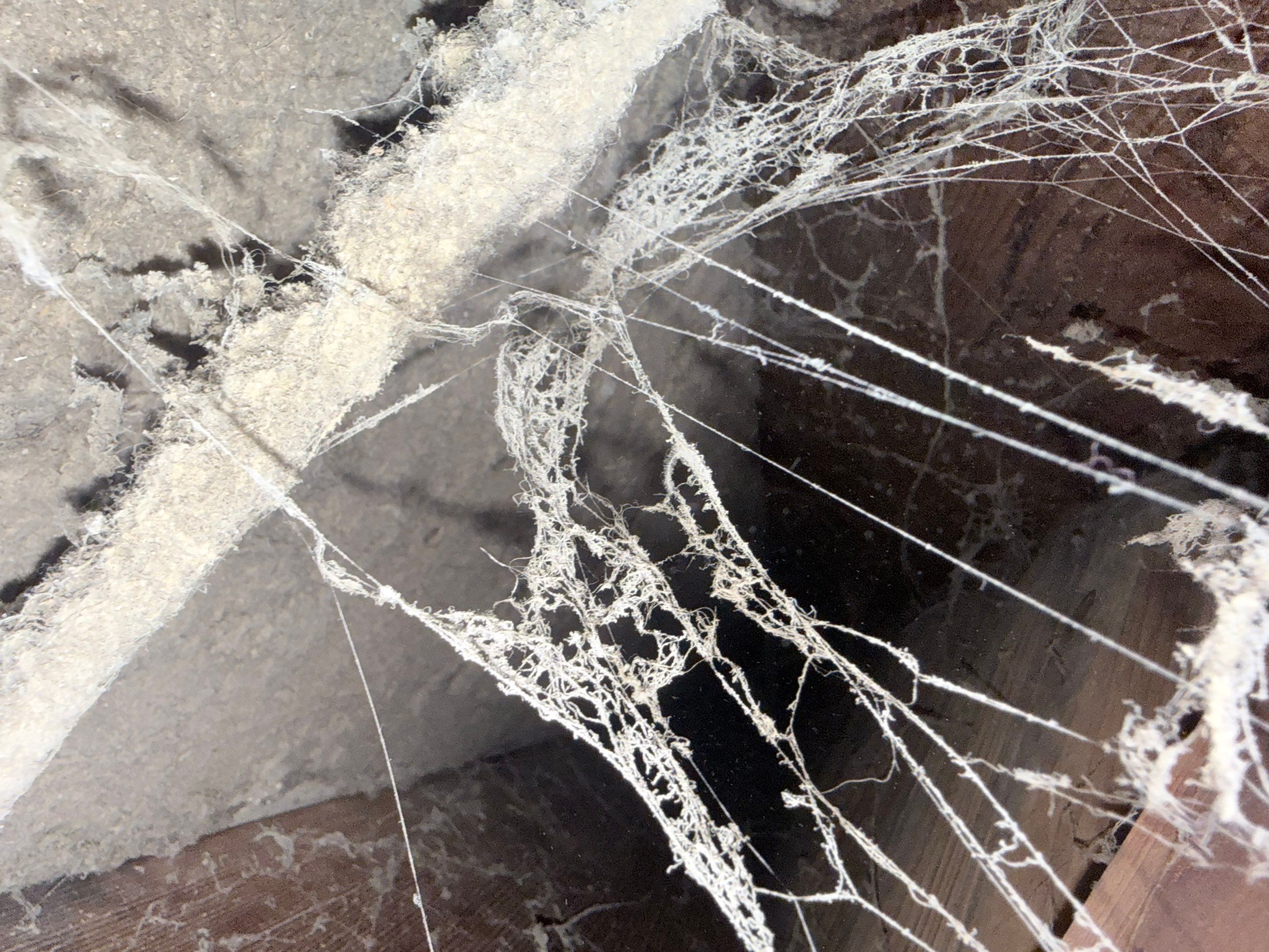 HVAC Duct Cleaning and Debris Extraction by Fox Hill Luxury Real Estate Services