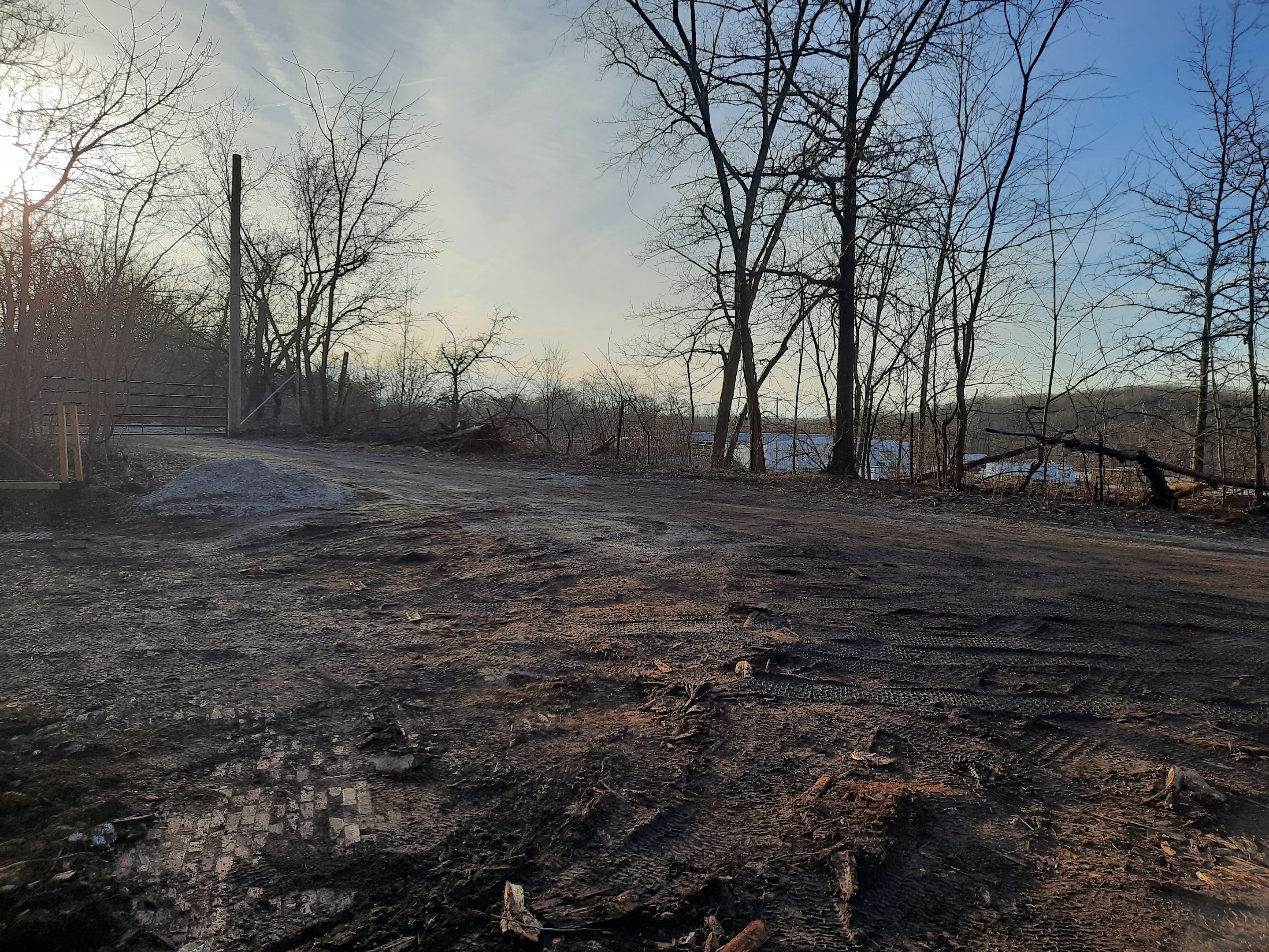 Tree Removal using Tree Removal by Mike Jones & Sons Tree Service LLC 