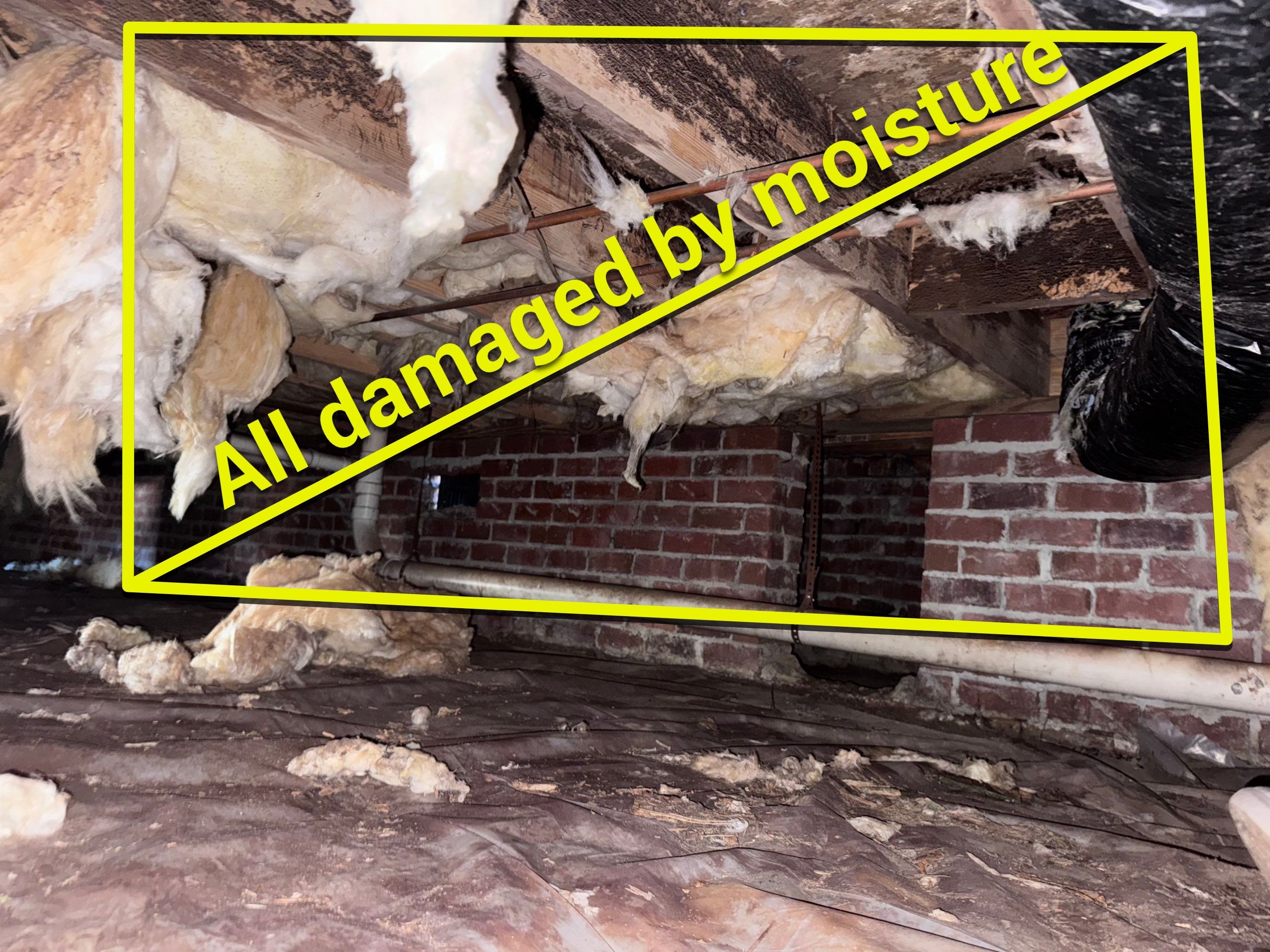 Structural Repairs inludiing sub-floor removal, new floor joists installed, girder replacmeent and dropped girder installed. by Impact Crawlspace