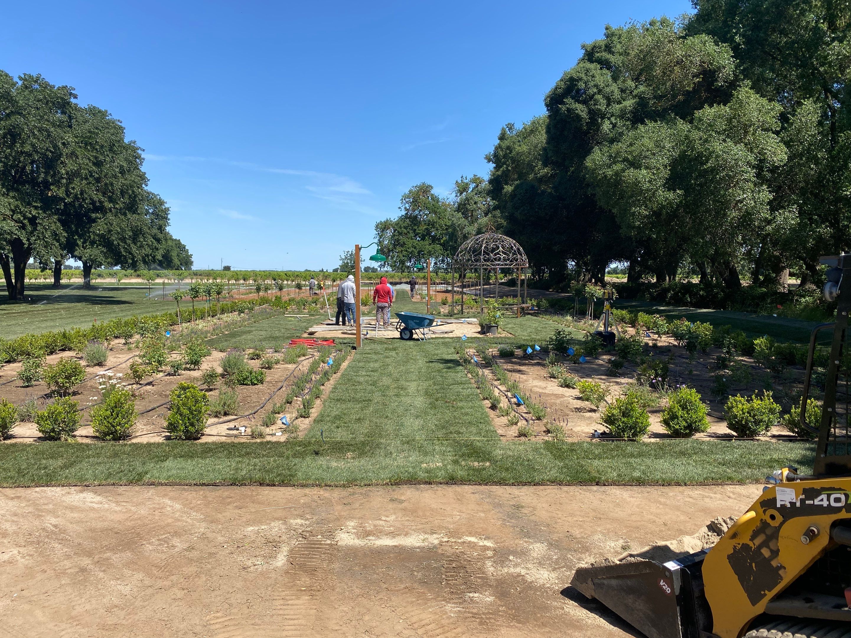 Project in Lodi by A - G Sod Farms