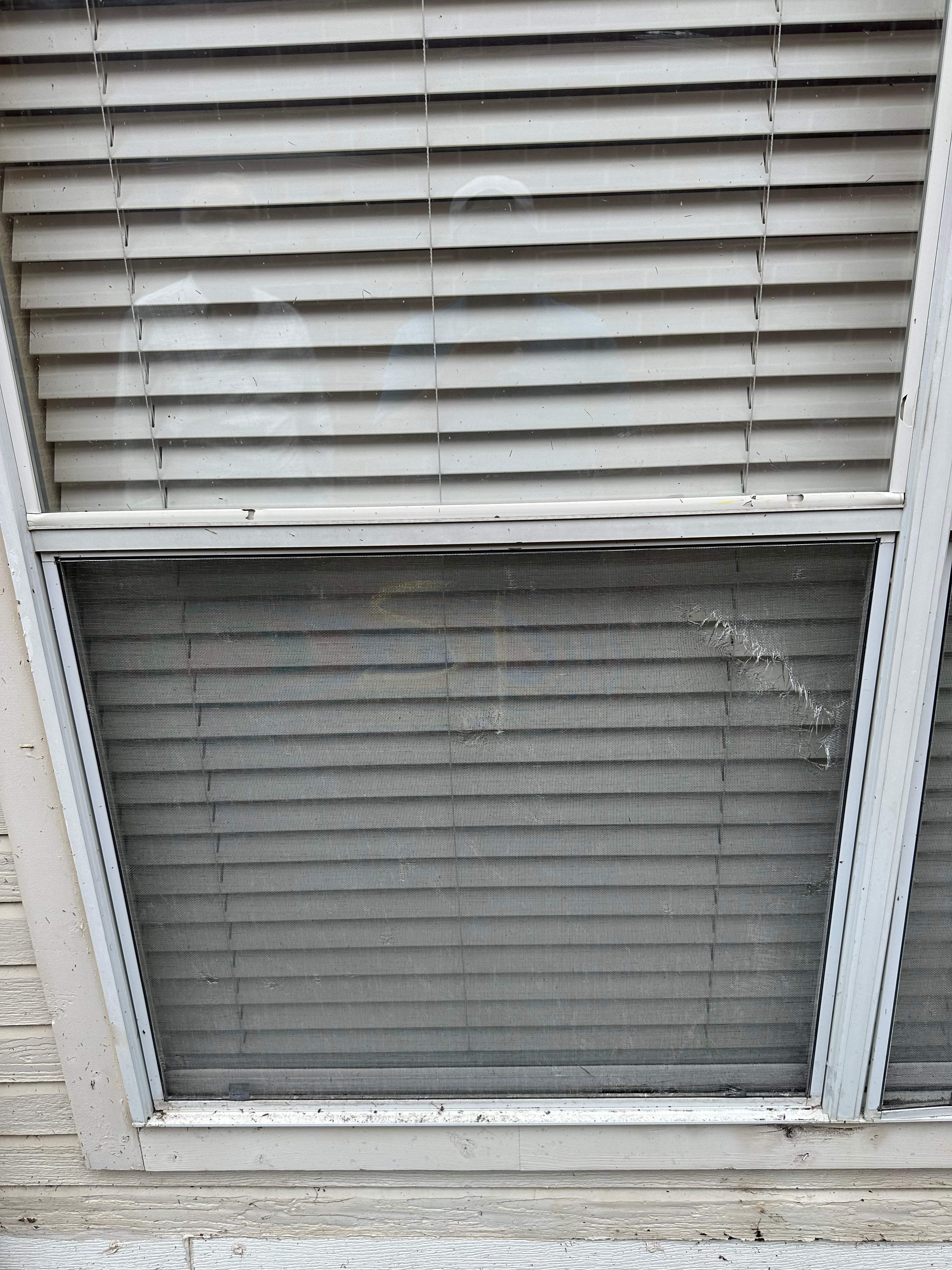 Full Property Restoration by Eminent Roofing & Auto Hail Repair
