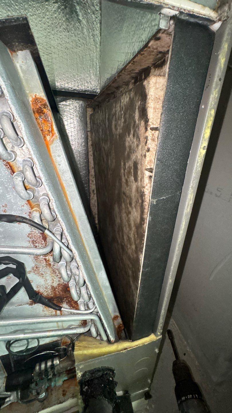 Air Duct and Dryer Vent Cleaning in Orlando by Hygienic Air, Inc