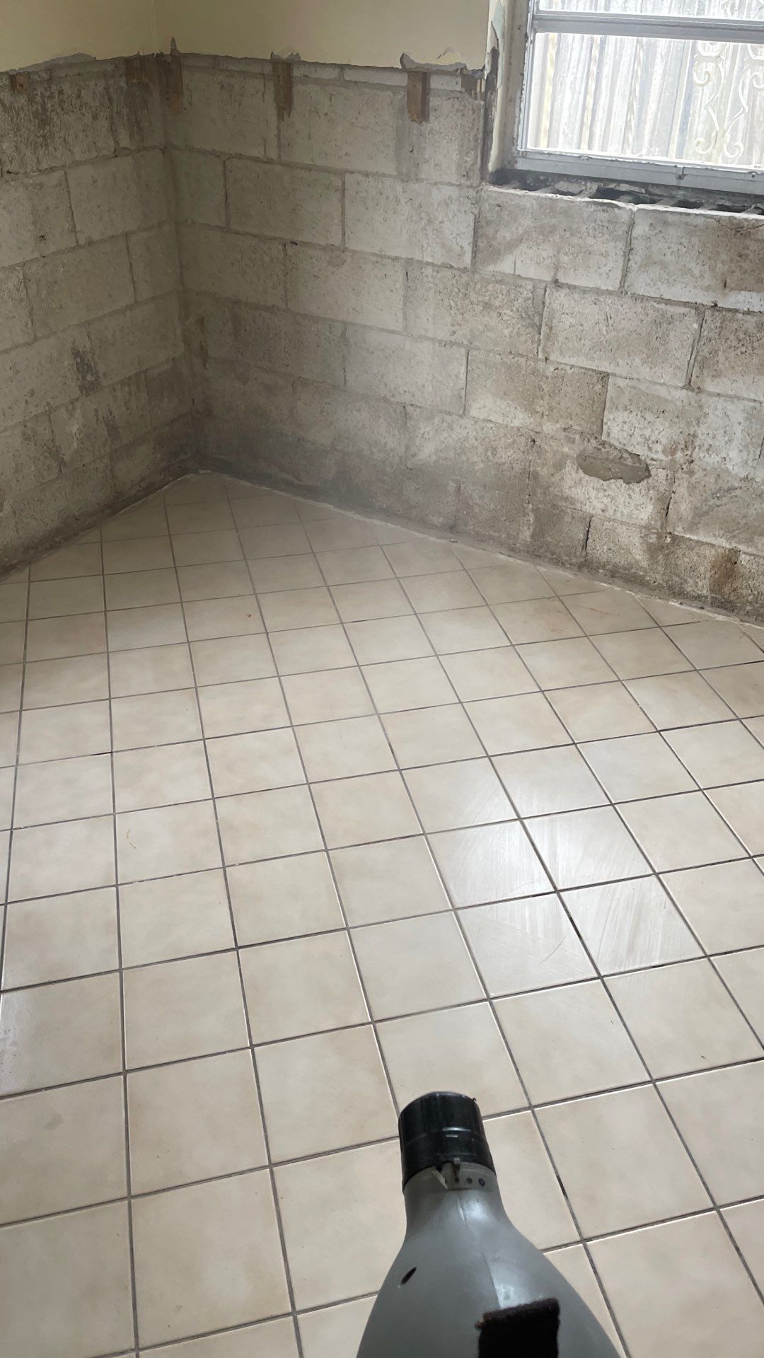 Mold Remediation  by THE RAPID TEAM