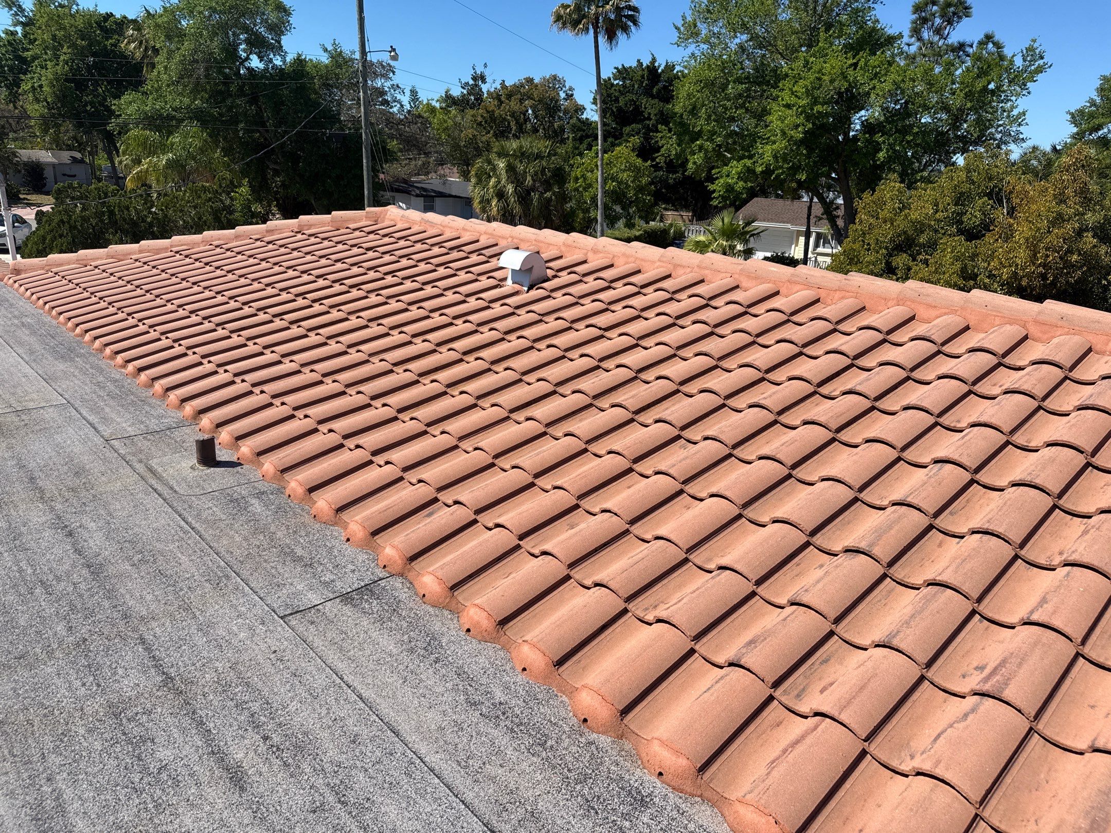 Full Exterior Cleaning Before Painting – Sarasota, FL (Near Sarasota Airport) by Sunshine AquaWash