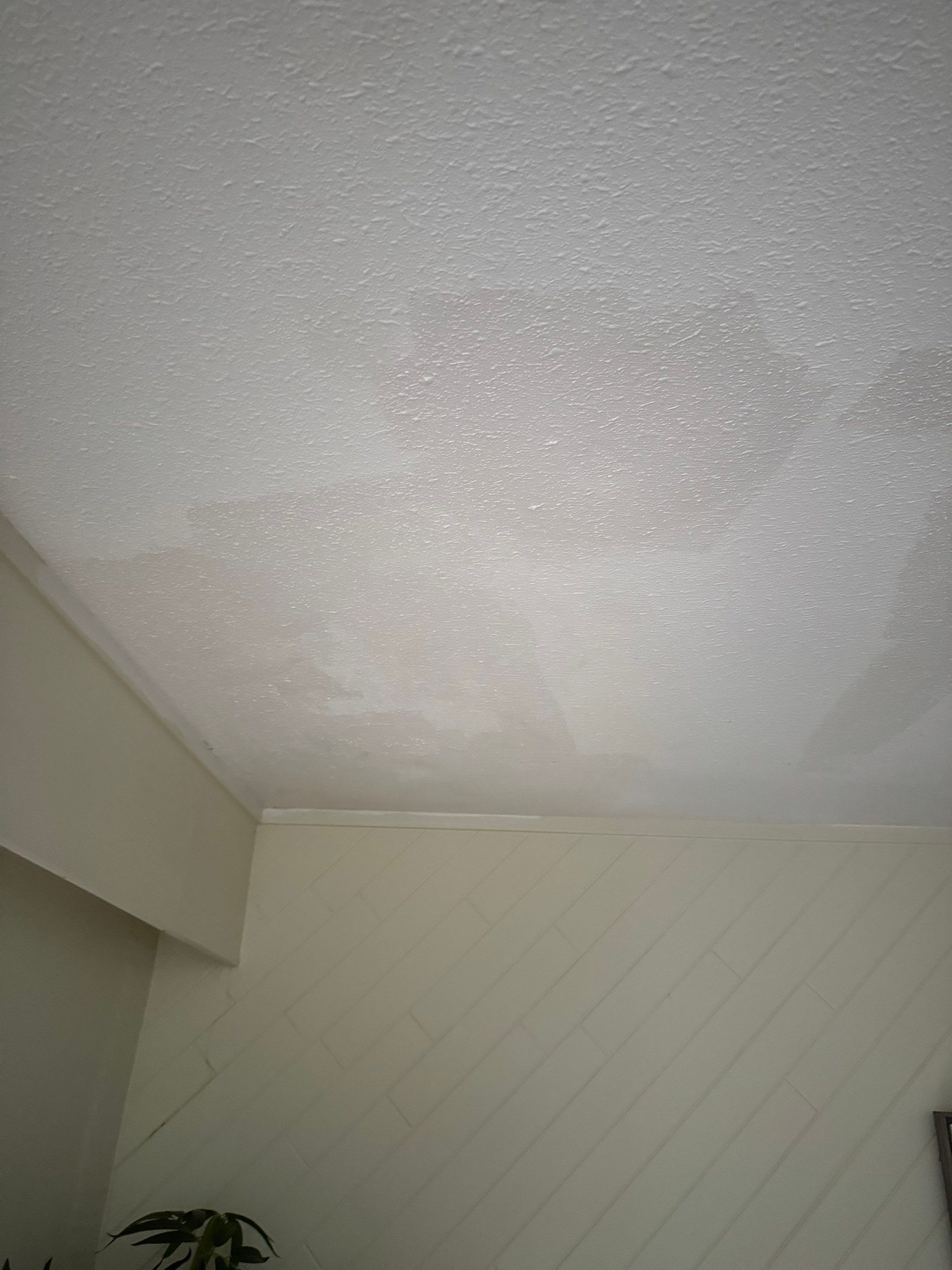 Ceiling Repair by YVR Construction Group