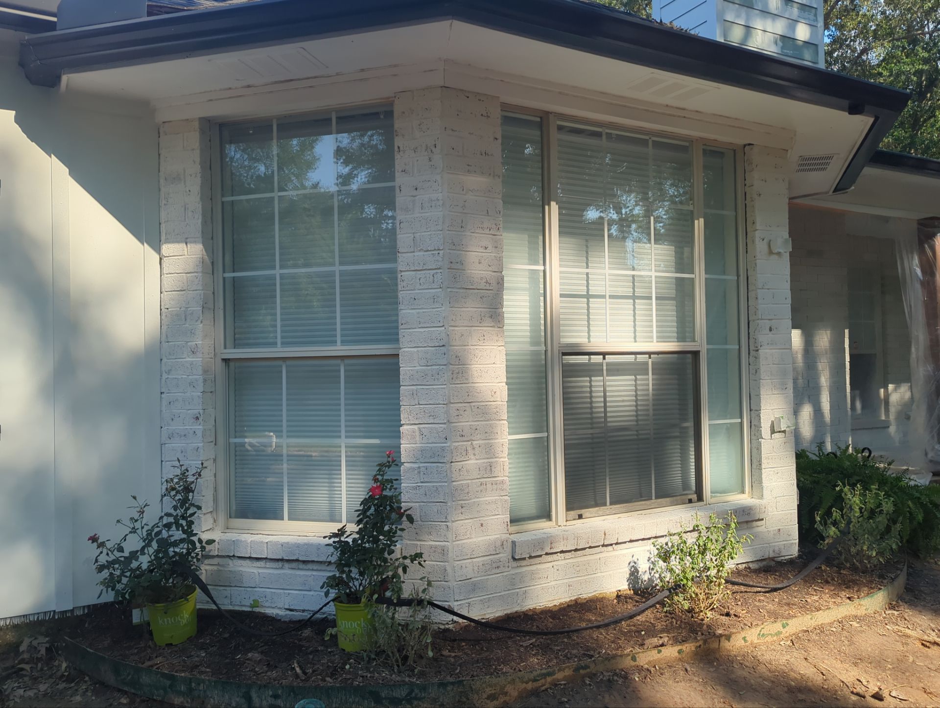 Romabio Limewash Project – Chandler, Tx by Quality Coats Painting