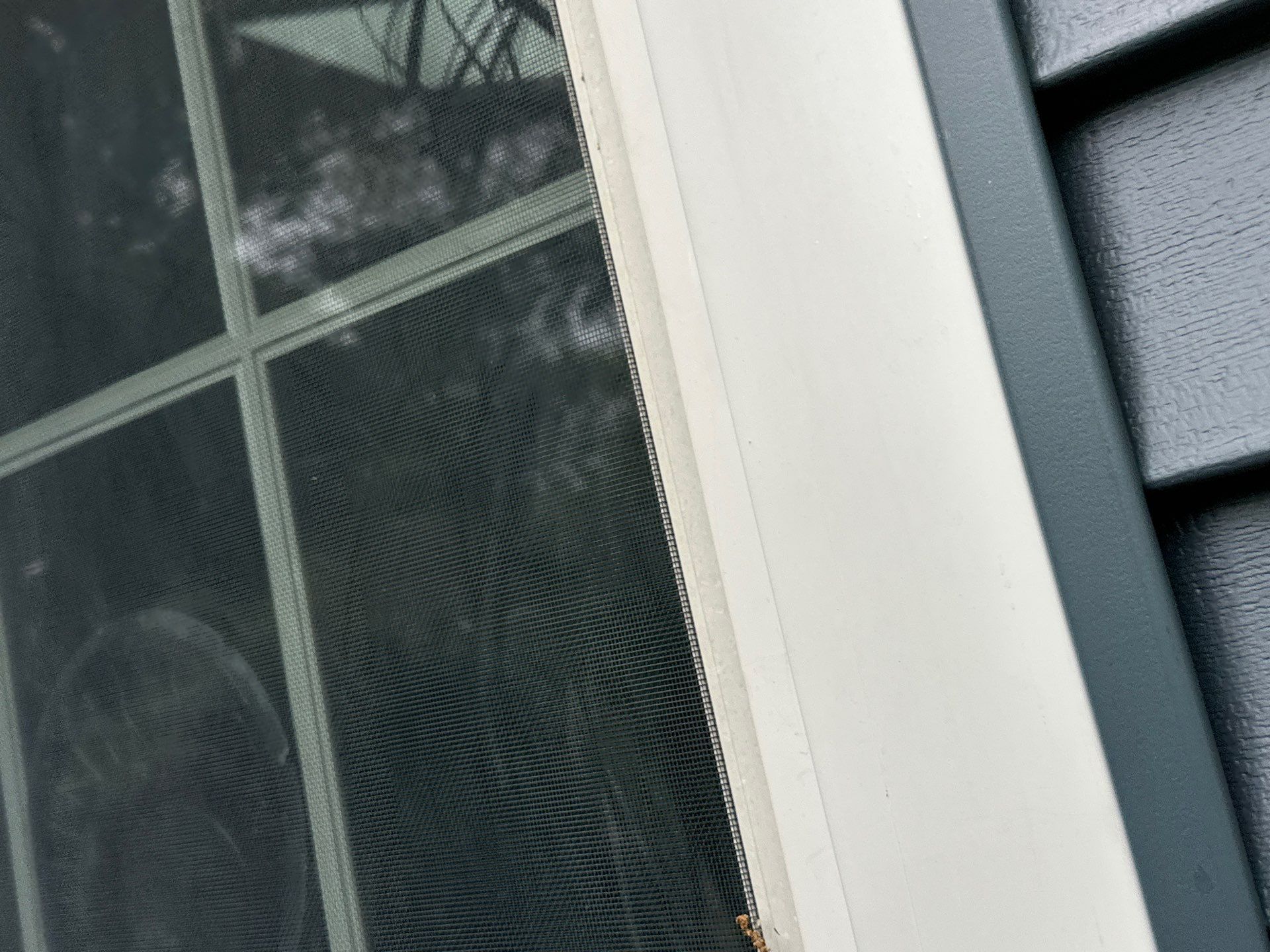 Vinyl Siding Transformation – Pacific Blue by Mighty Dog Roofing of Greater Middlesex County