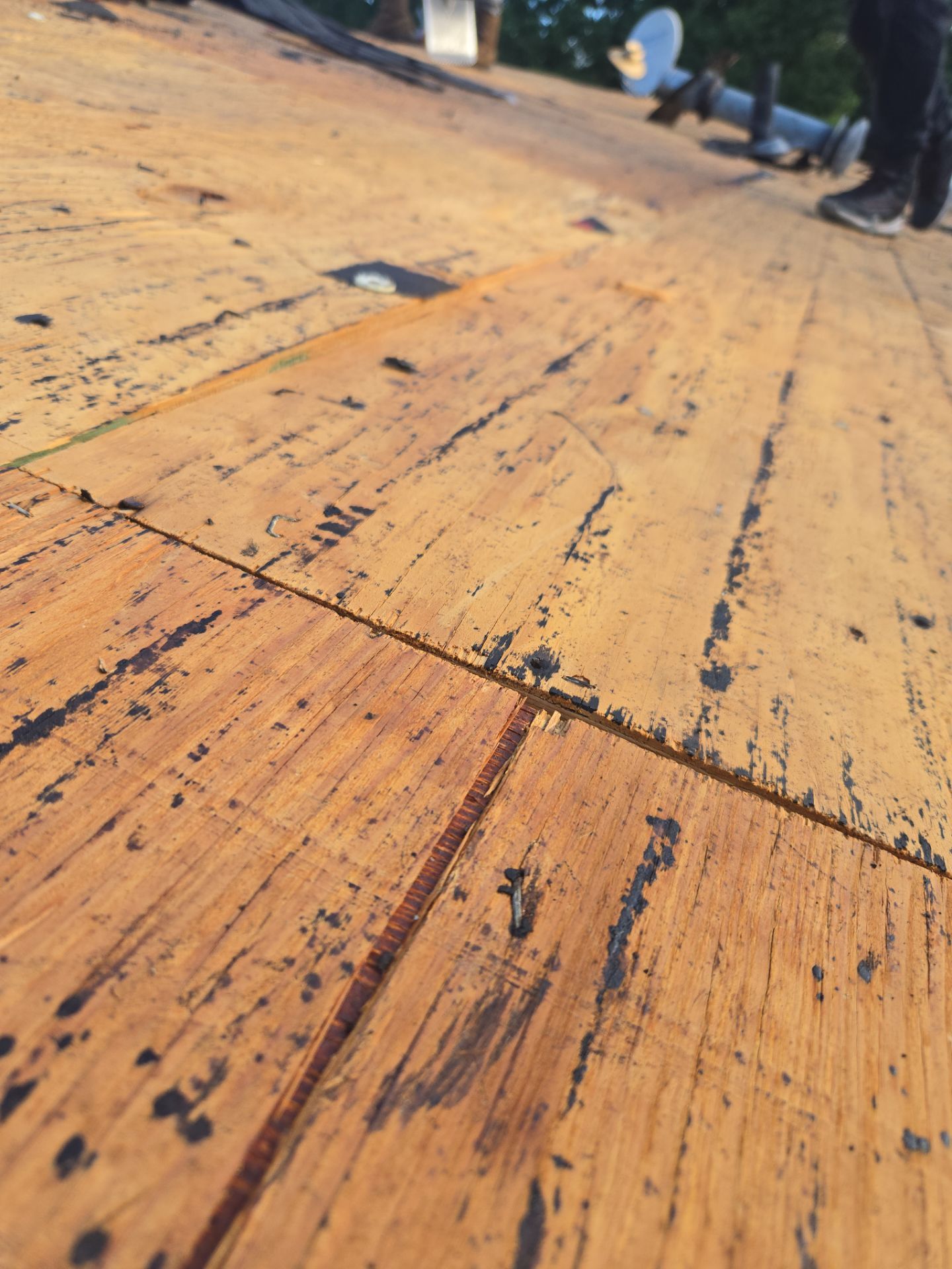 Diana A: Atlas Pinnacle, Color, Weathered Shadow, Drip Edge, Color, Musket Brown by Eagle Eye Roofing