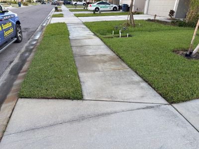 Concrete Driveway, Sidewalk, Street Curbing, and Entryway Cleaning in Willow Walk Community, Palmetto, FL